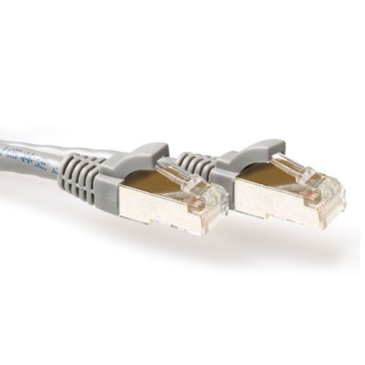 Câble réseau gris avec connecteurs RJ45. Fond blanc. Gros plan.