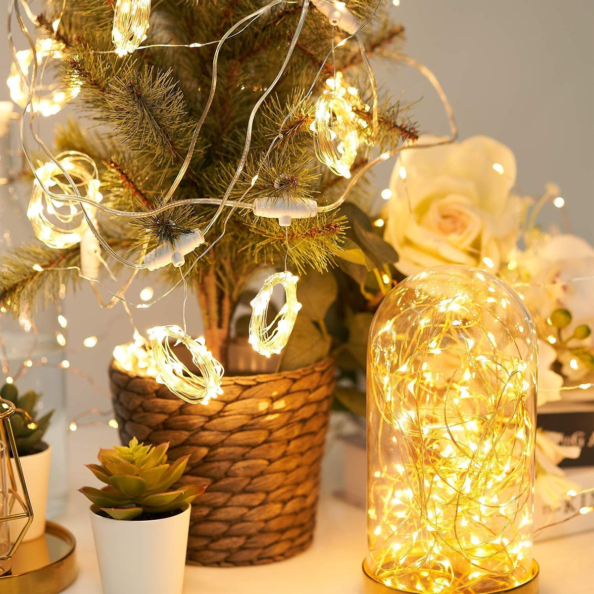 Weihnachtsbaum mit Lichtern, eine Glaskuppel mit Lichtern und eine Sukkulente im Topf.
