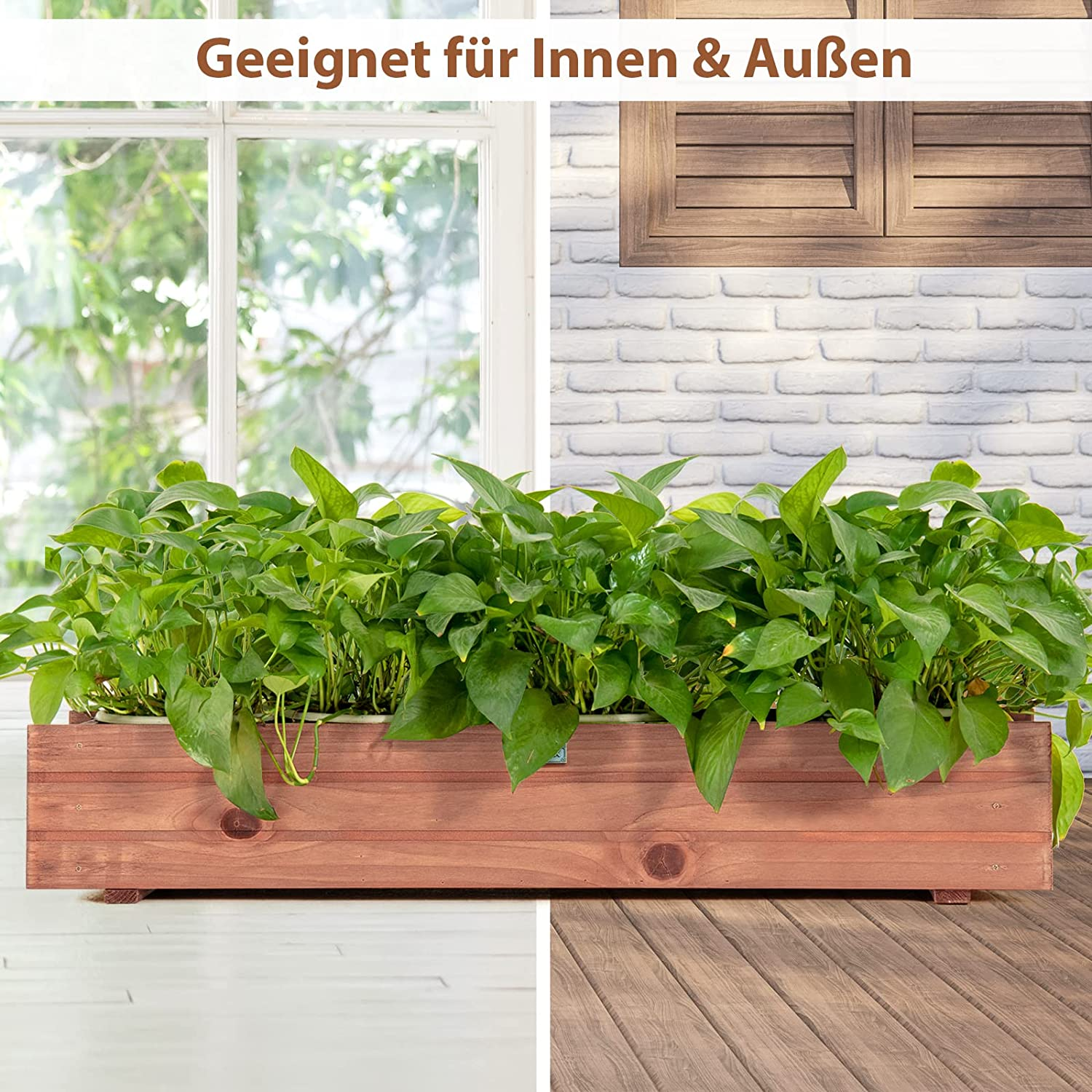 Holzkasten mit grünen Pflanzen vor einem Fenster. Im Hintergrund eine Ziegelmauer.