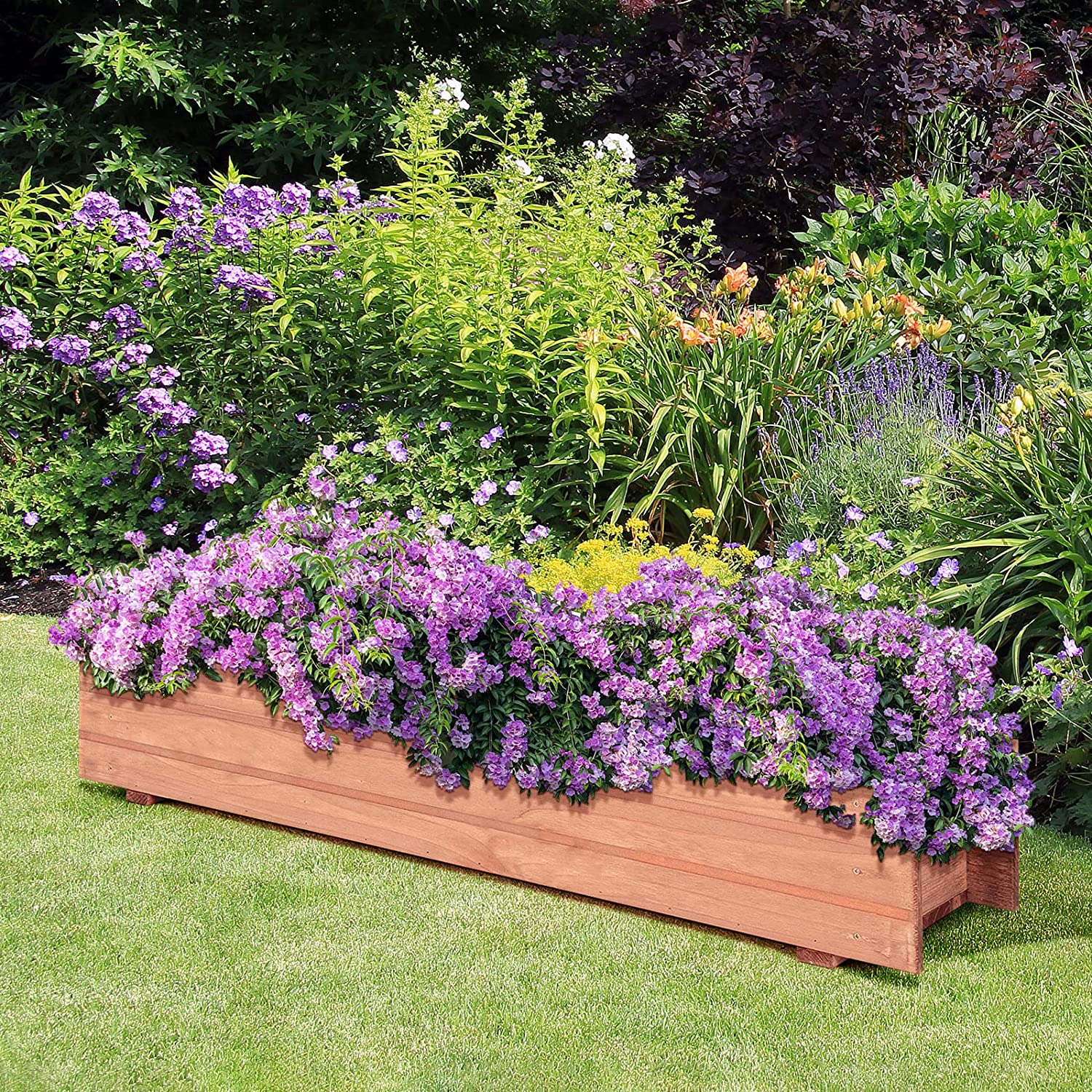 Eine Holzpflanzkasten mit lila Blumen im Garten, grünes Gras und Pflanzen im Hintergrund.