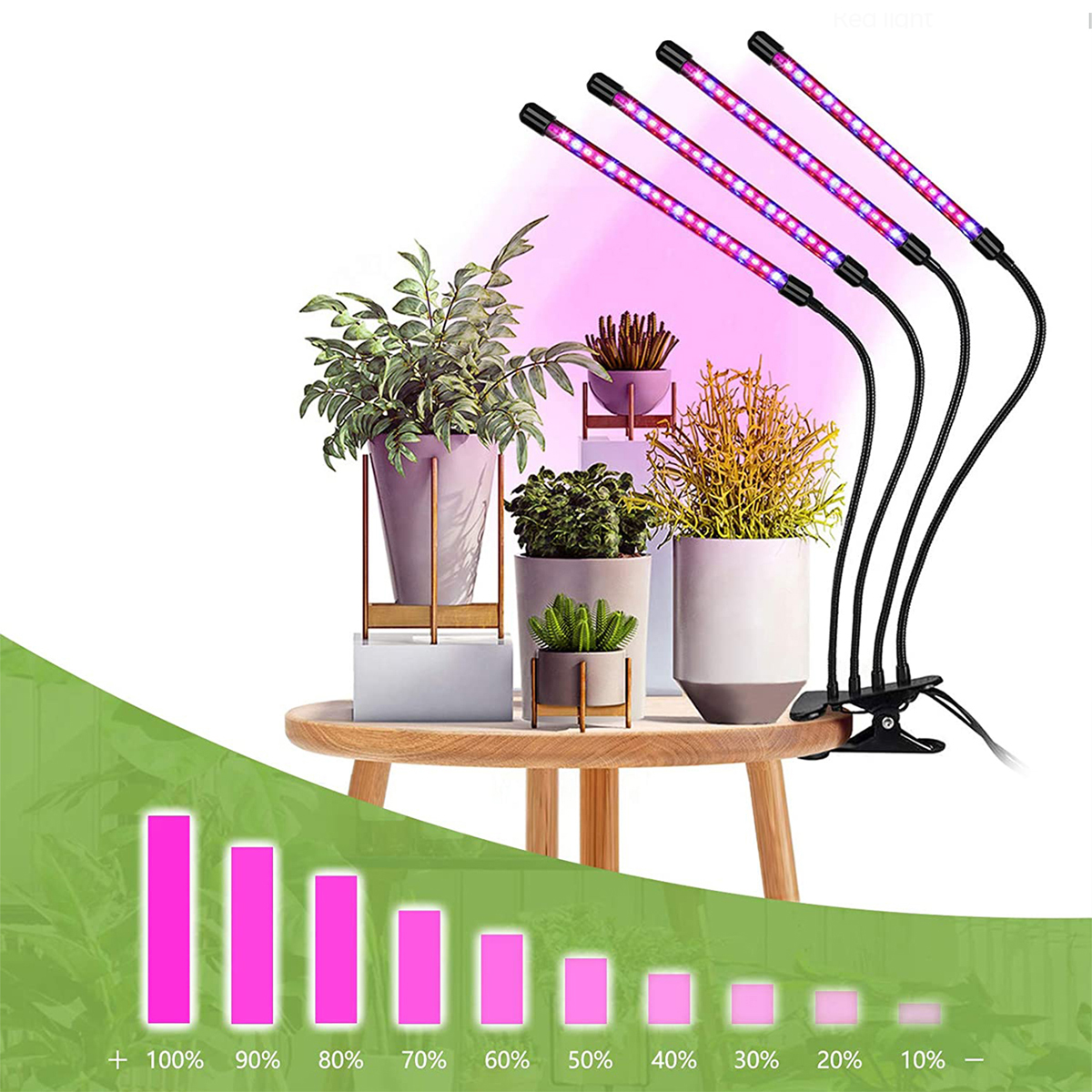 KINSI LED-Leuchten, Rötlich-blau füllen Zeitgesteuert Pflanzenlichter Licht,4 Köpfe, Clip-Licht,Pflanze