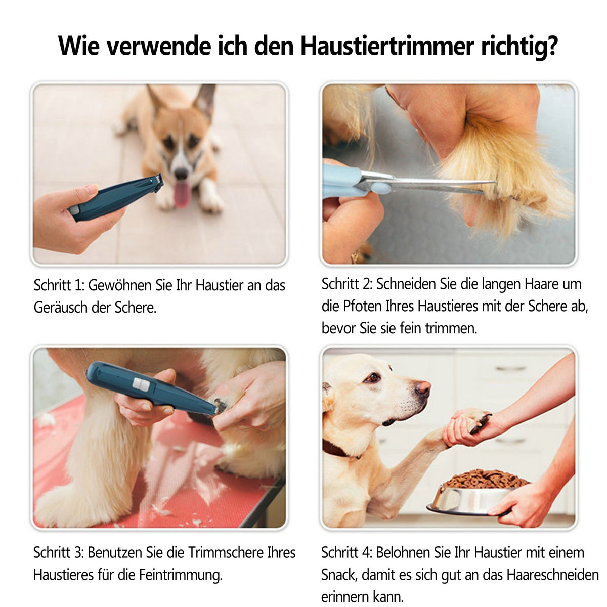 Vier Bilder, die zeigen, wie man die Krallen eines Haustiers mit Schere und Zange schneidet.
