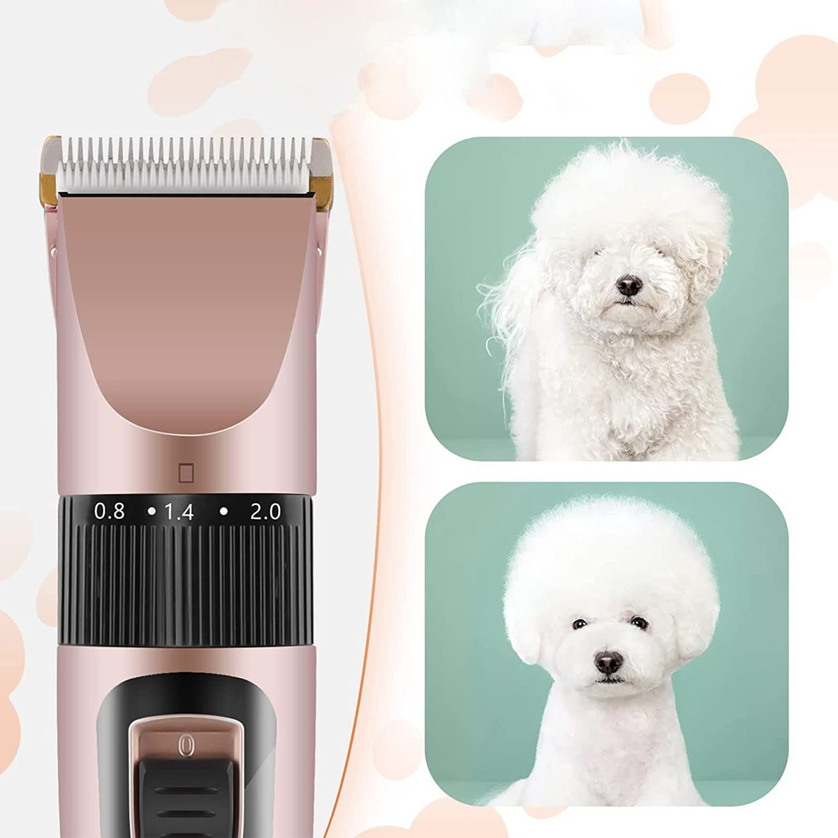 Haarschneider mit Hund und zwei Hundefotos mit verschiedenen Haarschnitten.