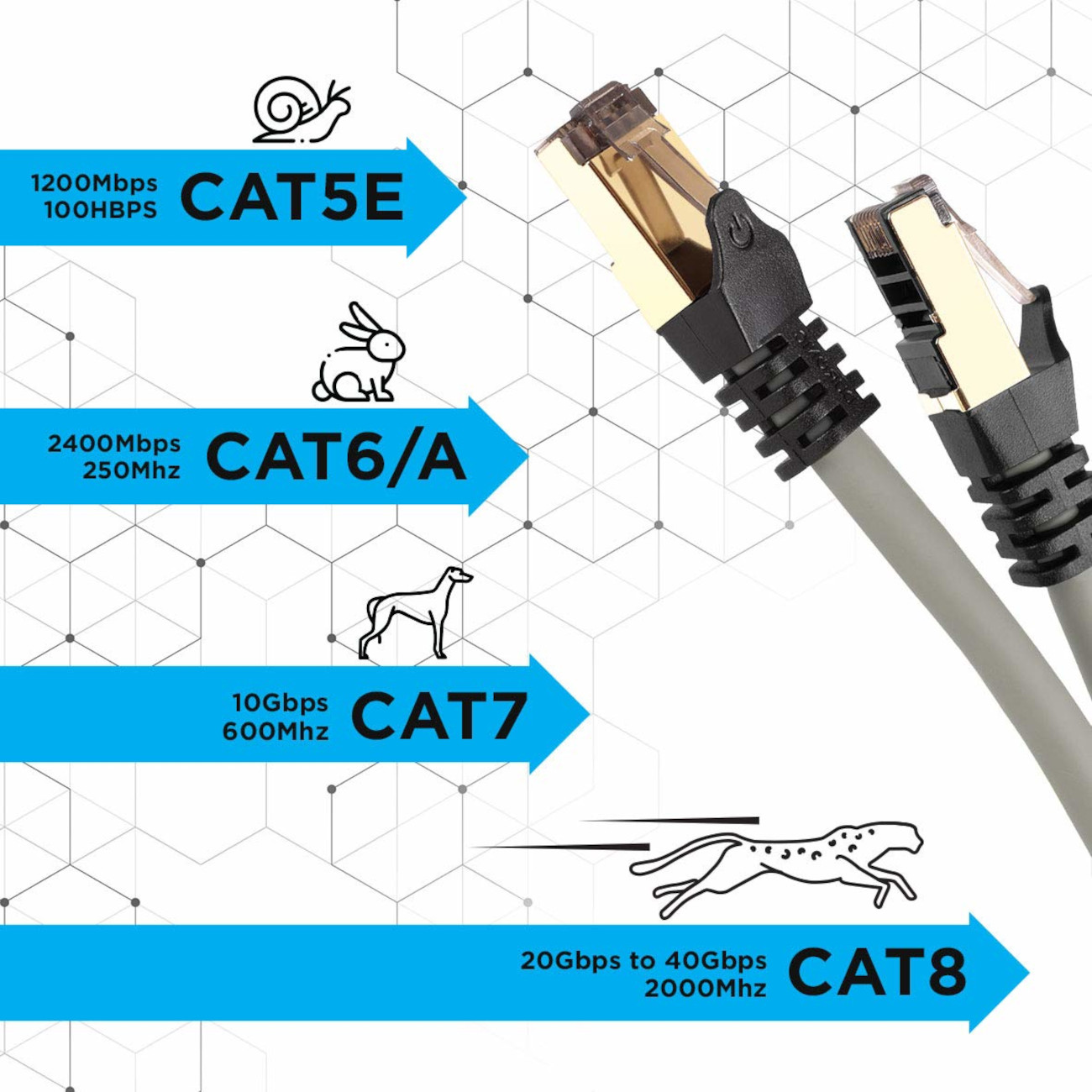 Netzwerkkabel mit Informationen zu Geschwindigkeiten und Kategorien: CAT5E, CAT6/A, CAT7, CAT8 mit Tierillustrationen.