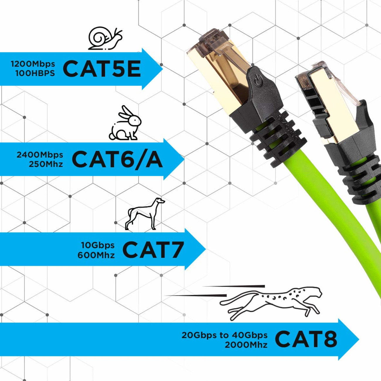 Grüne Netzwerkkabel mit Steckern und Leistungsbezeichnungen (CAT5E, CAT6/A, CAT7, CAT8) auf weißem Grund.