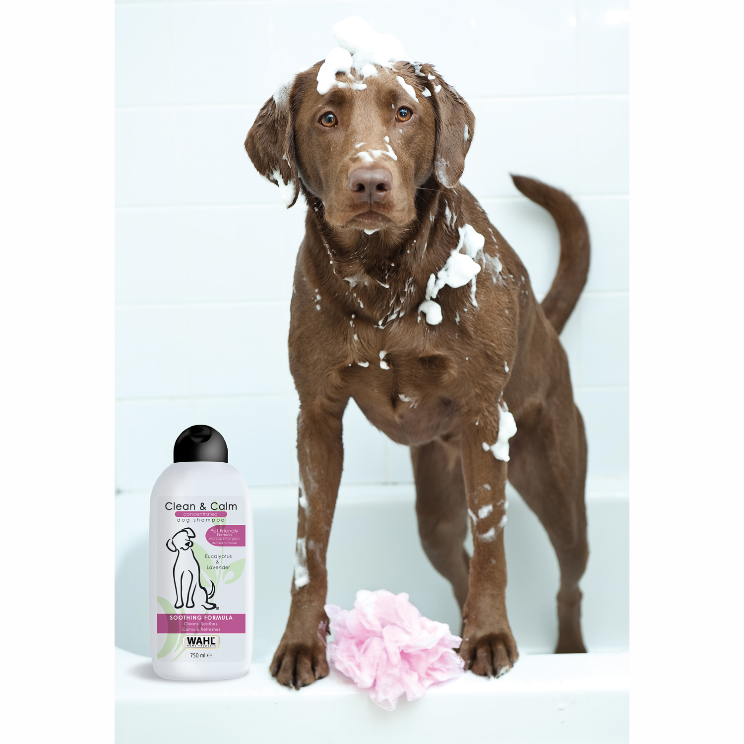 WAHL Clean 750 and ml Hundeshampoo Calm, Shampoo-Konzentrat