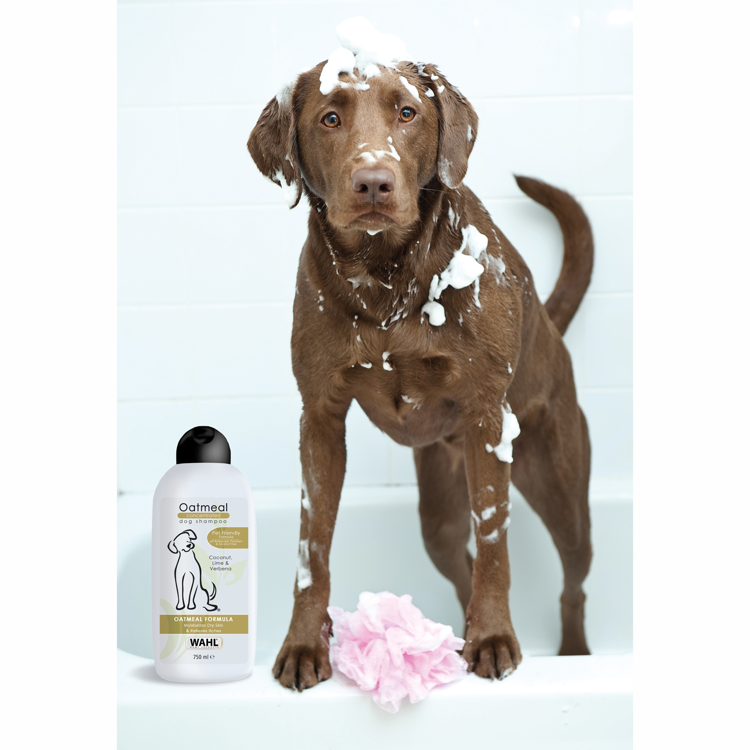 ml 750 Hundeshampoo Haferflocken, WAHL Shampookonzentrat