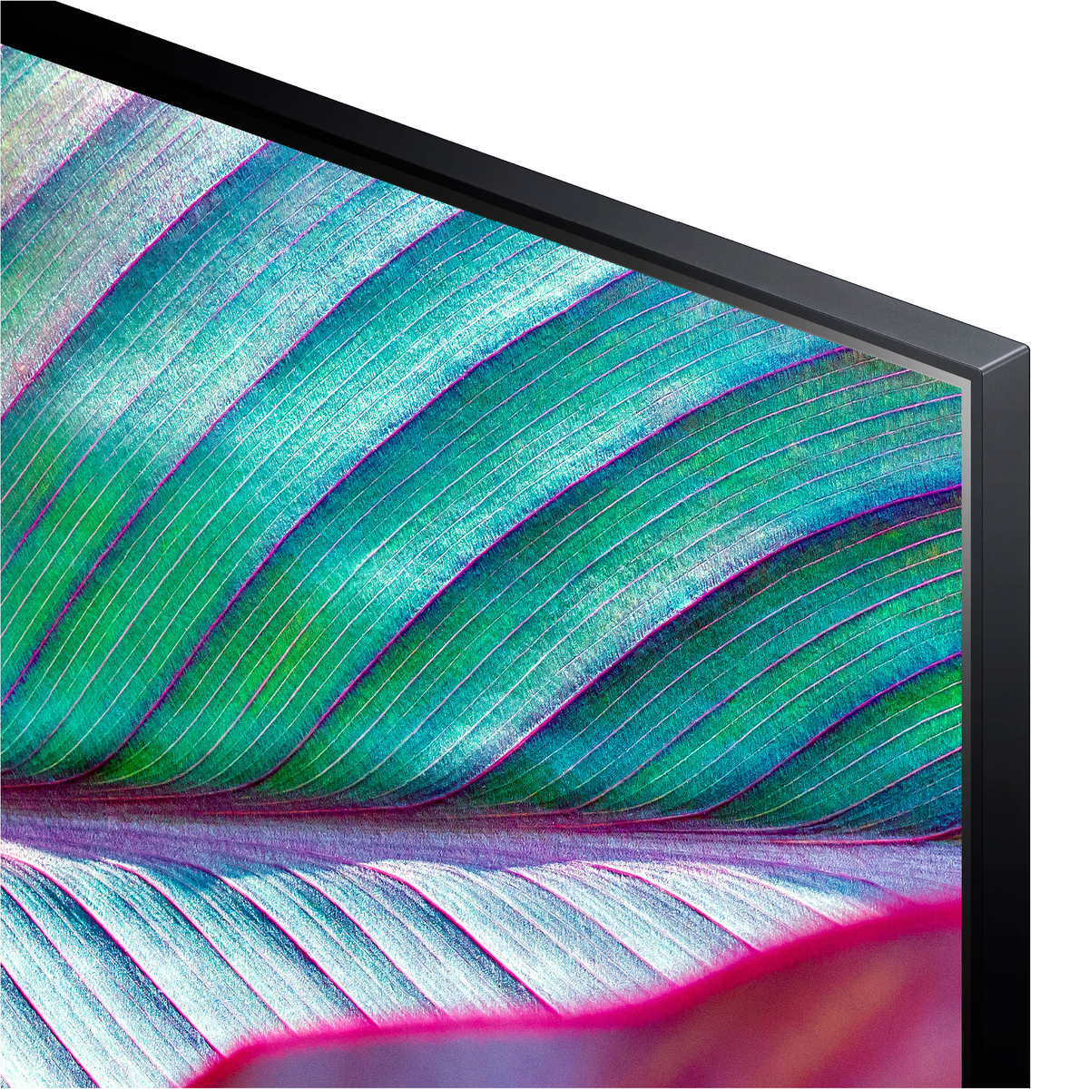 Zbliżenie ekranu telewizora pokazujące kolorowy obraz liścia. Czarna ramka.