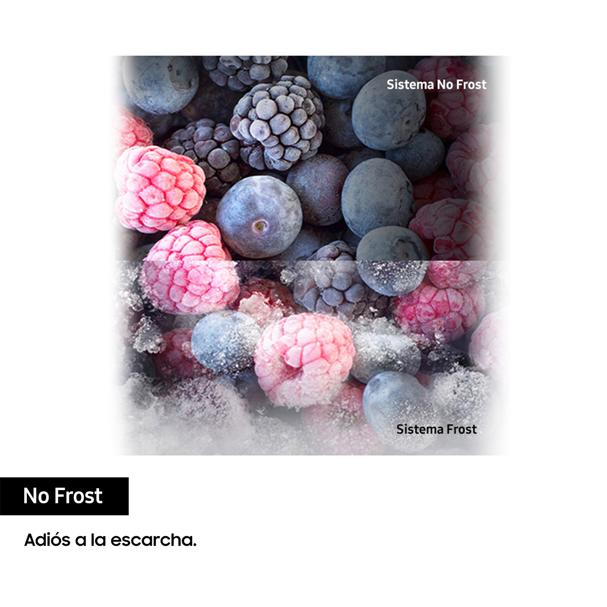 Zbliżenie zamrożonych jagód, z tekstem 'No Frost' i wyjaśnieniem.