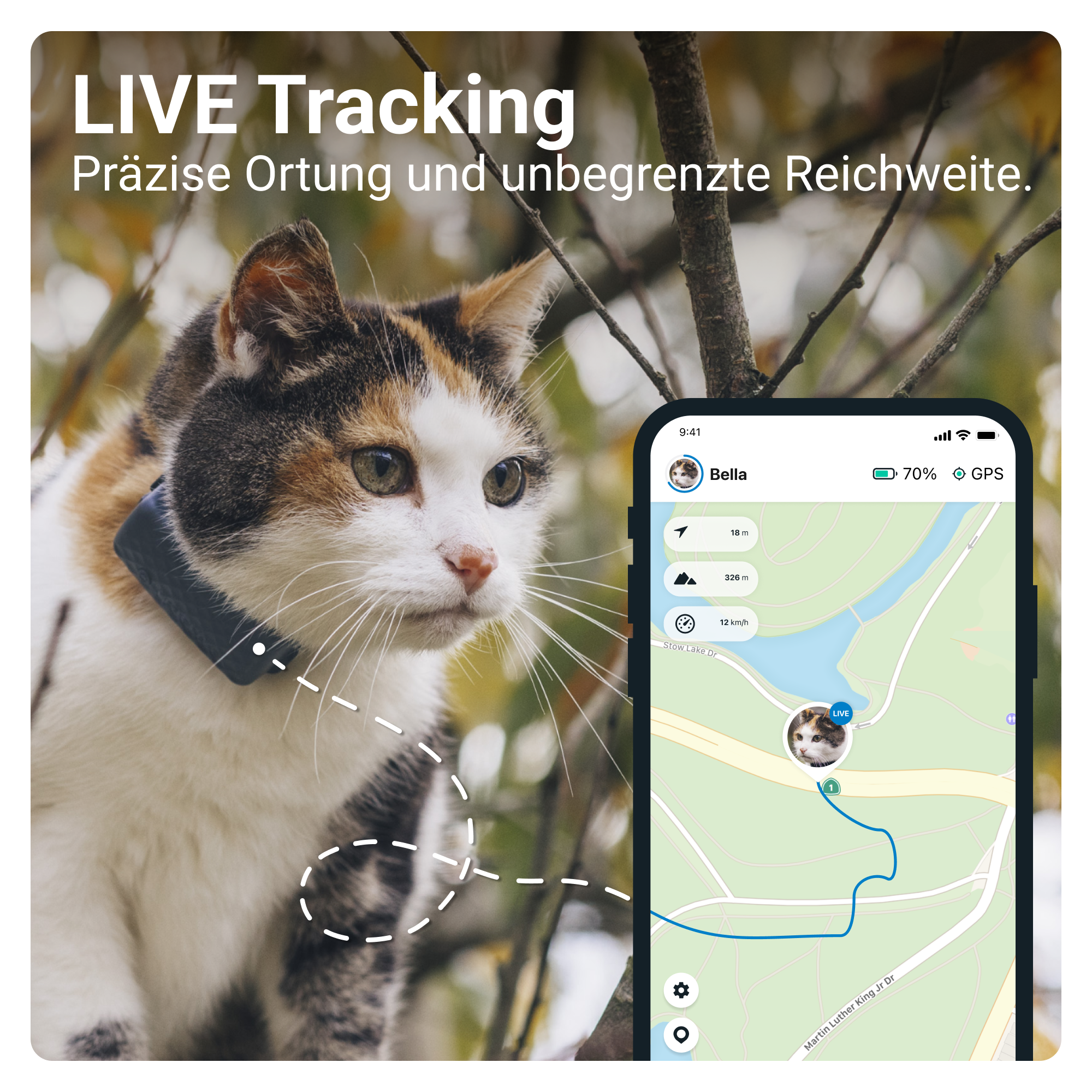 mit Aktivitätstracking Katze Tracker - GPS GPS Tractive GPS Tracker CAT TRACTIVE Mini