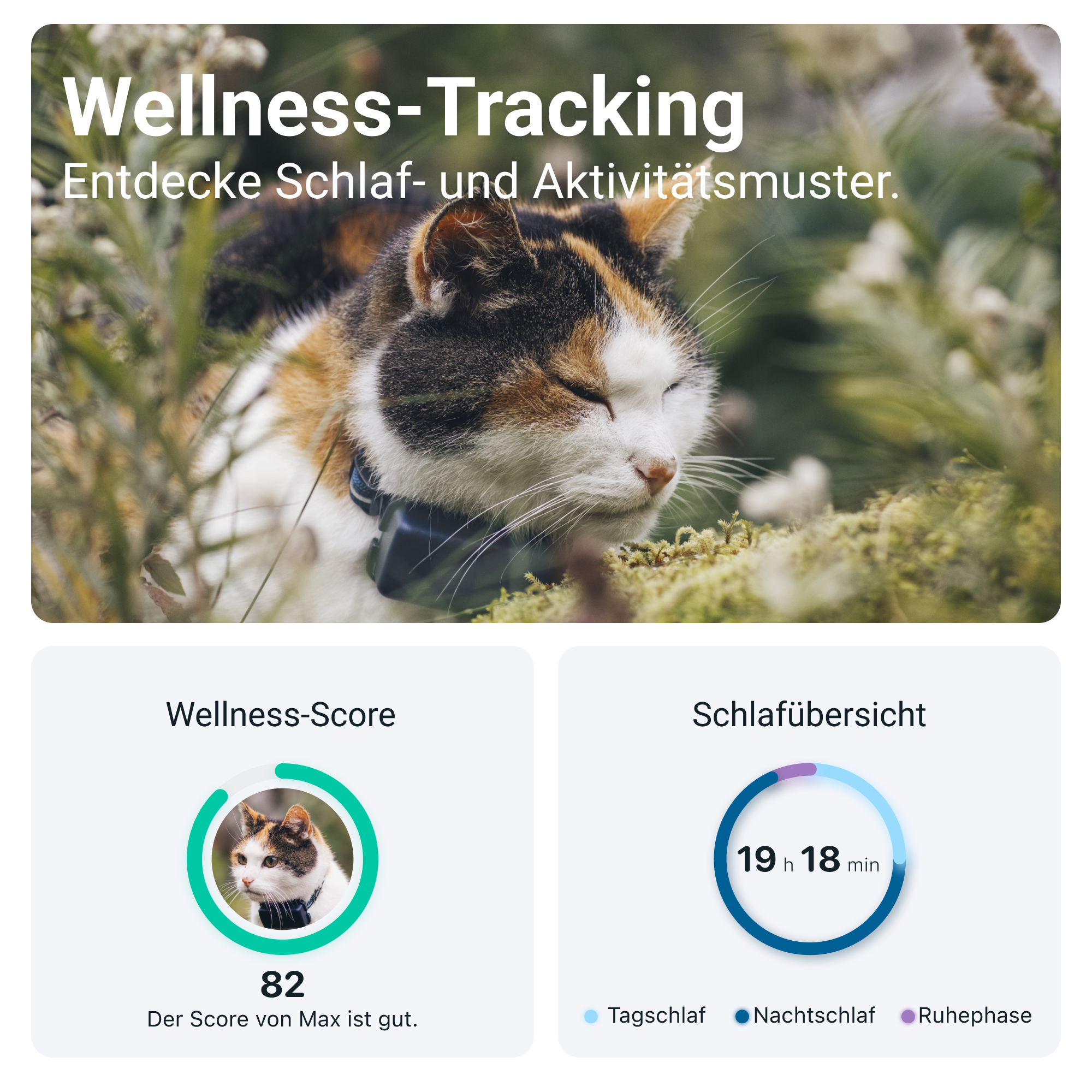 Eine Schildpattkatze mit geschlossenen Augen, die ein Halsband trägt. Text sagt "Wellness-Tracking" und "Schlafübersicht".
