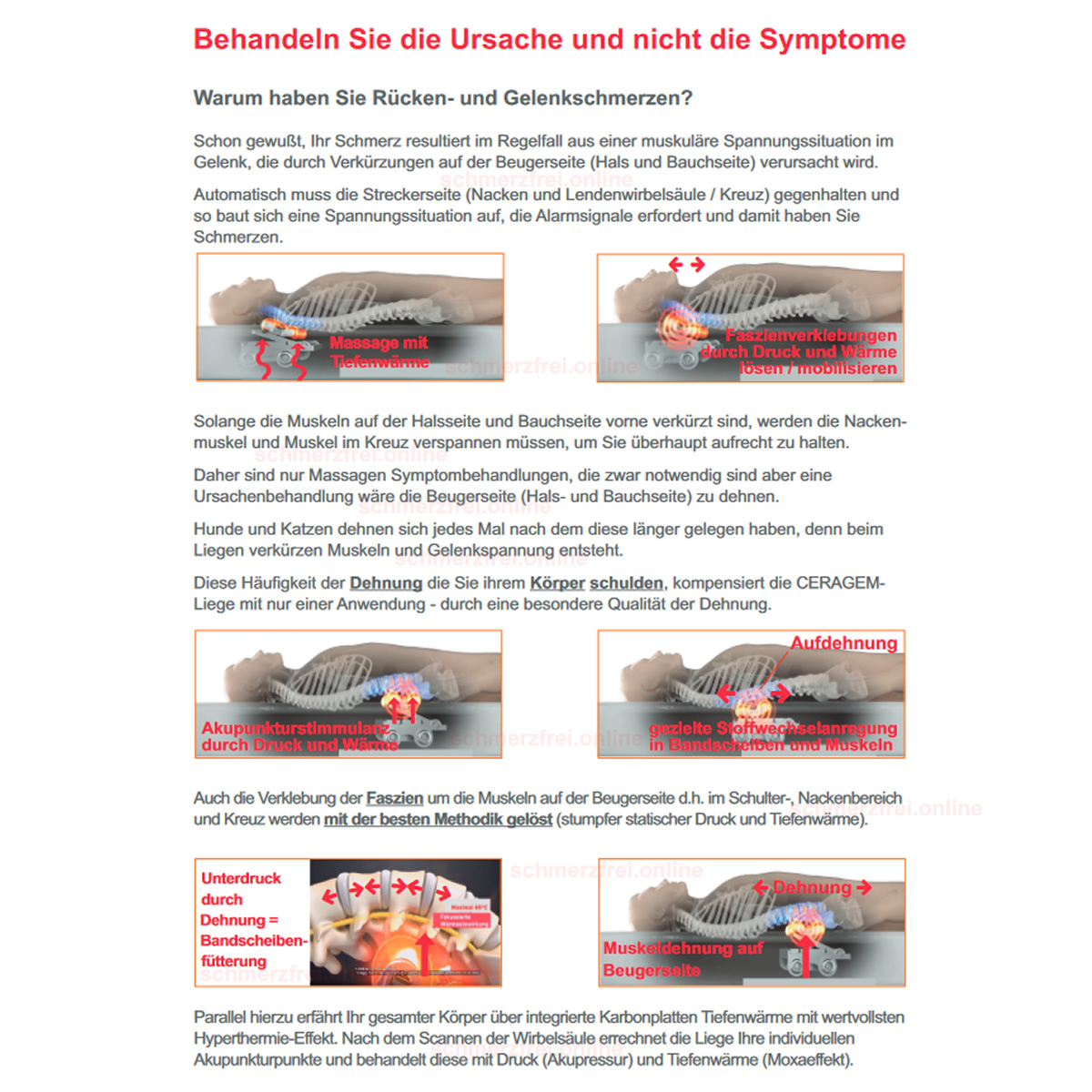 Diagramme und Text, die Rücken- und Gelenkschmerzen beschreiben, mit Übungsillustrationen.