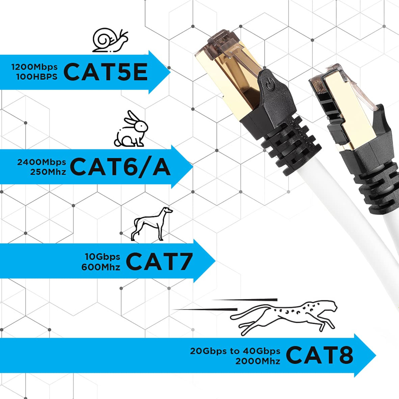 Ein Diagramm, das Netzwerkkabeltypen zeigt: CAT5E (Schnecke), CAT6/A (Kaninchen), CAT7 (Hund), CAT8 (Gepard).