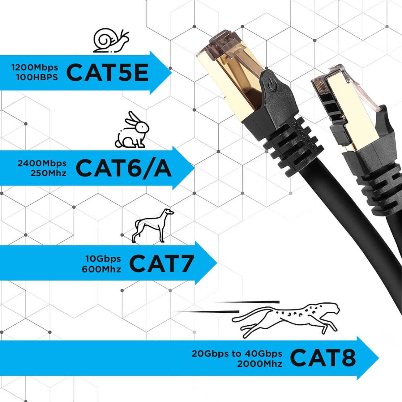 Netzwerkkabel: CAT5E, CAT6/A, CAT7, CAT8 mit Geschwindigkeits- und Bandbreitenspezifikationen und Tier-Icons.