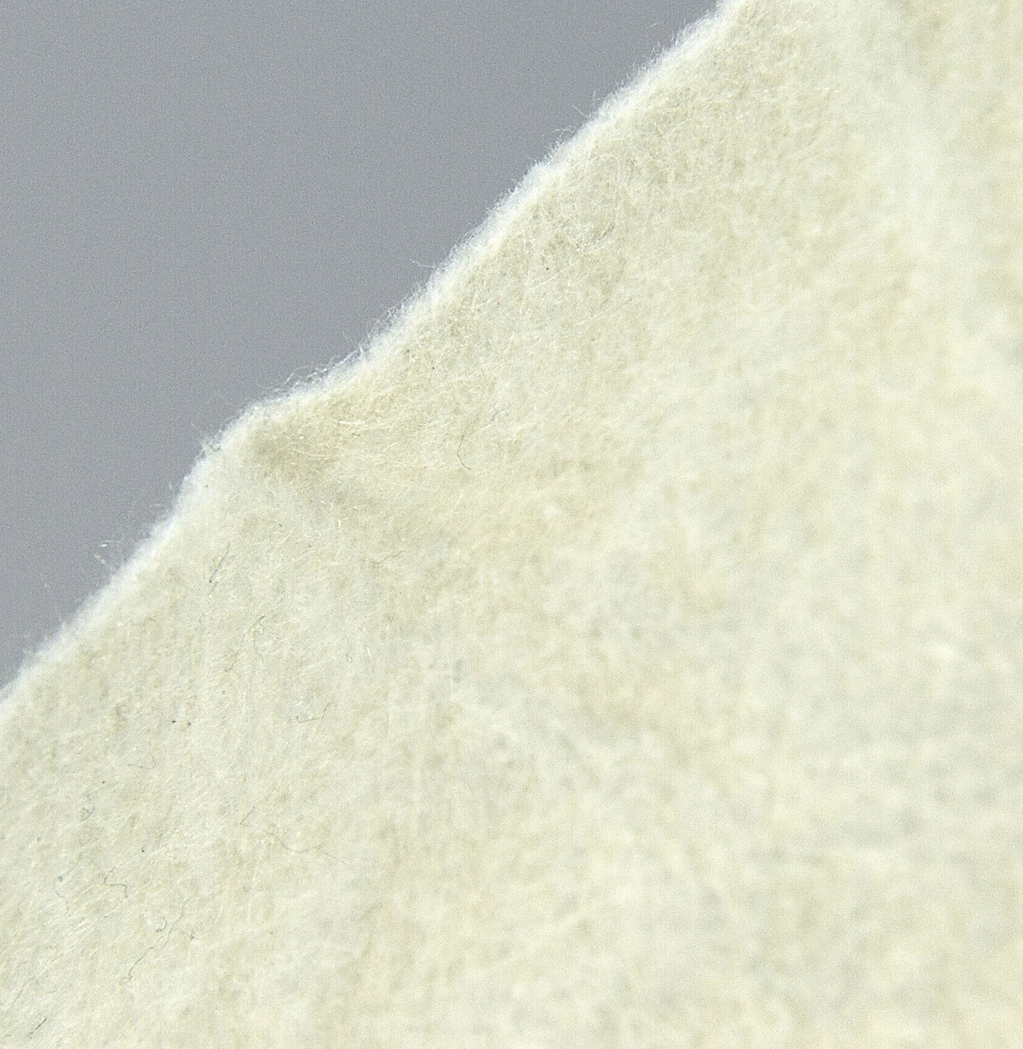 Nahaufnahme eines zerrissenen Stücks weißen, faserigen Papiers. Das Papier ist strukturiert und leicht cremefarben.