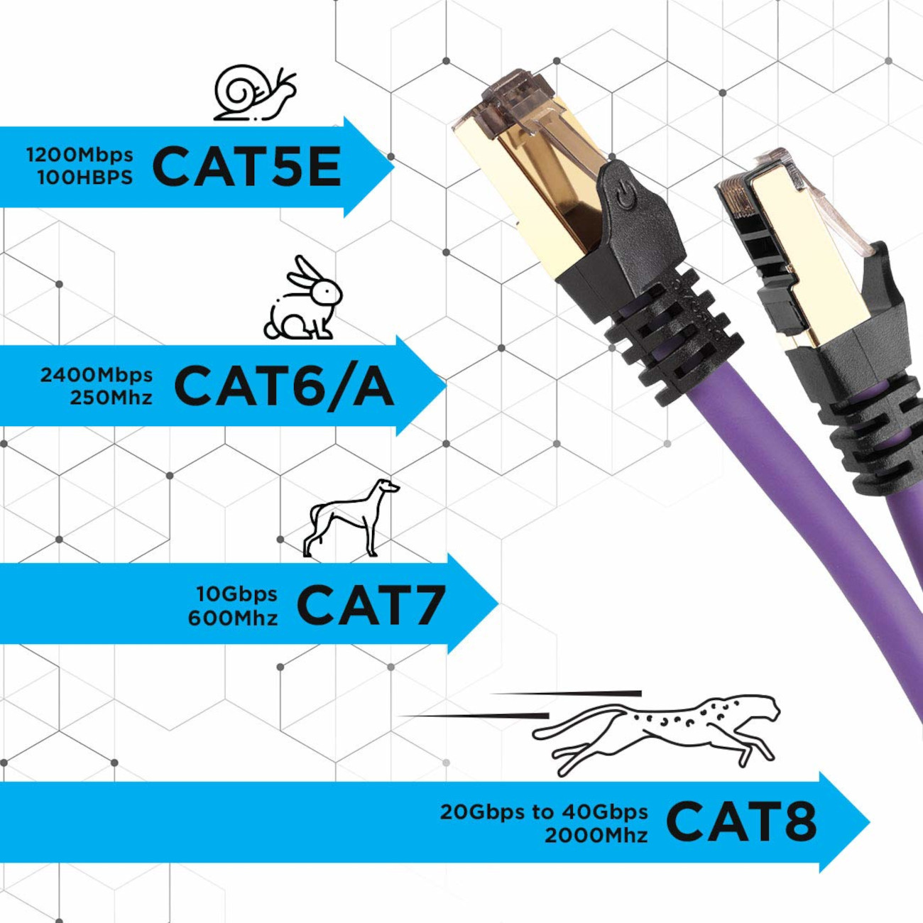 Netzwerkkabel mit verschiedenen Geschwindigkeitsangaben, CAT5E, CAT6/A, CAT7, CAT8.