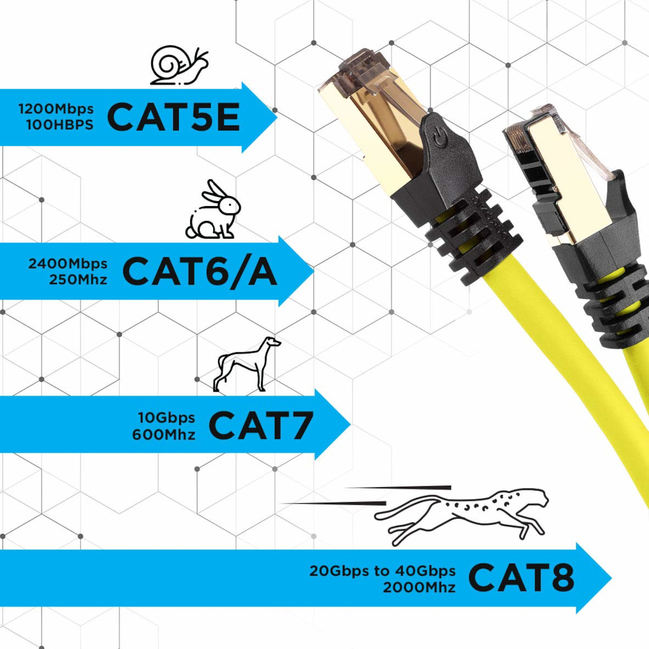 Netzwerkkabel mit Geschwindigkeits- und Kategoriebezeichnungen: CAT5E, CAT6/A, CAT7, CAT8, mit Tierzeichnungen.