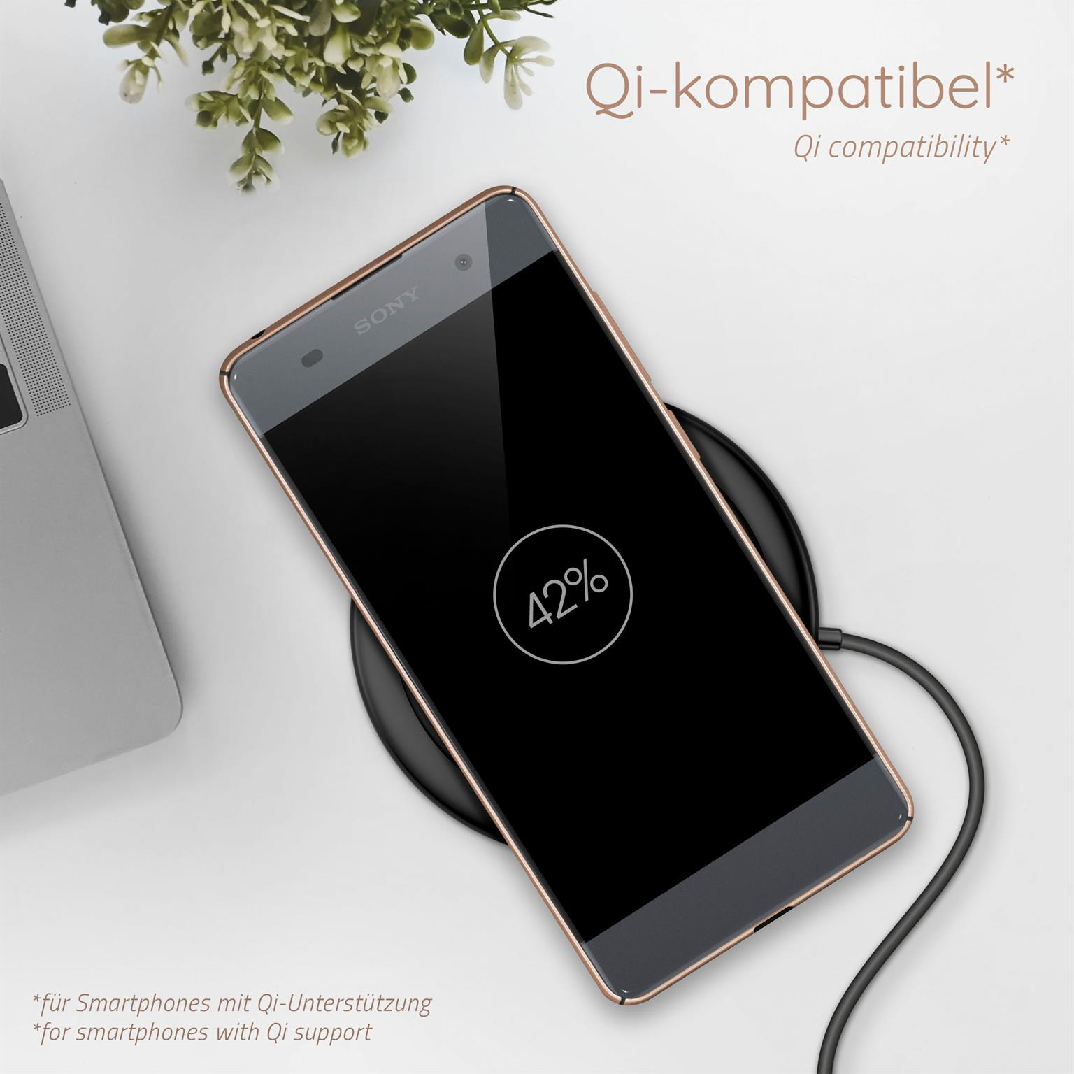 Telefon auf kabellosem Ladegerät. Zeigt 42% Akku. Pflanze links.