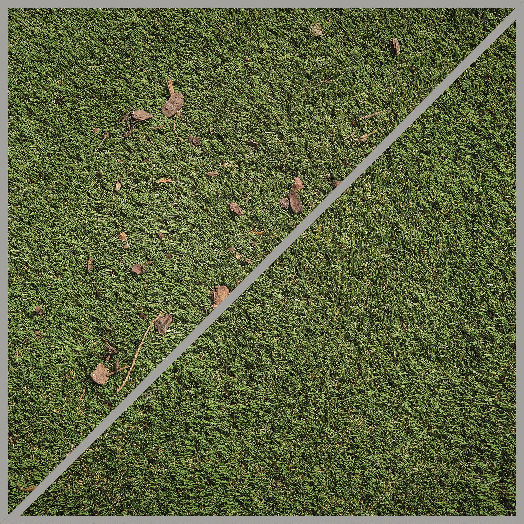 Ein diagonal geteilter Grasabschnitt mit einer grauen Linie, die den Unterschied im Gras zeigt.