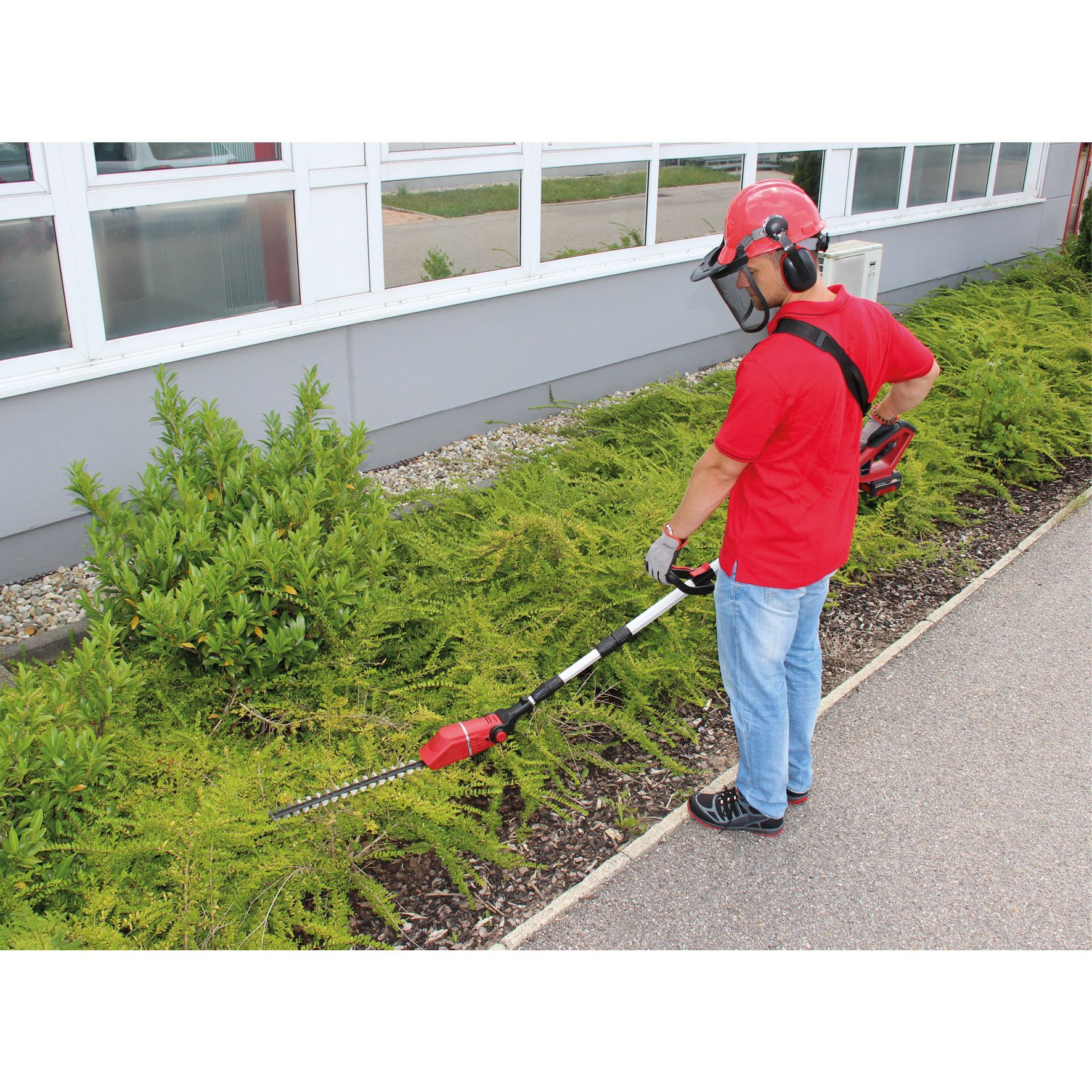 Ein Mann in rotem Hemd und Jeans schneidet eine Hecke mit einer elektrischen Heckenschere. Er trägt Sicherheitsausrüstung.