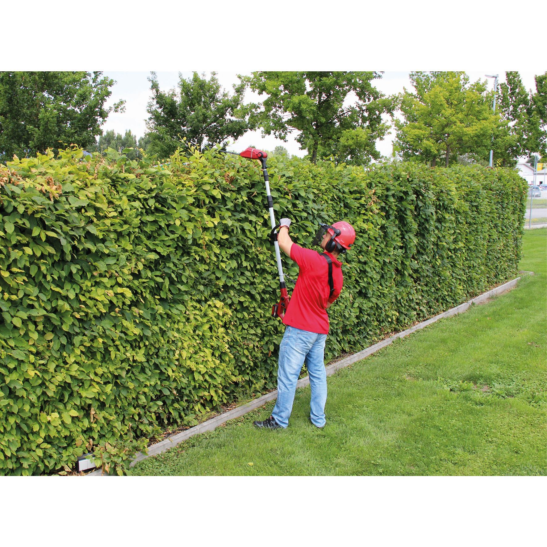 Person schneidet Hecke mit einem ausziehbaren Heckenschneider. Sie tragen ein rotes Hemd und Jeans.