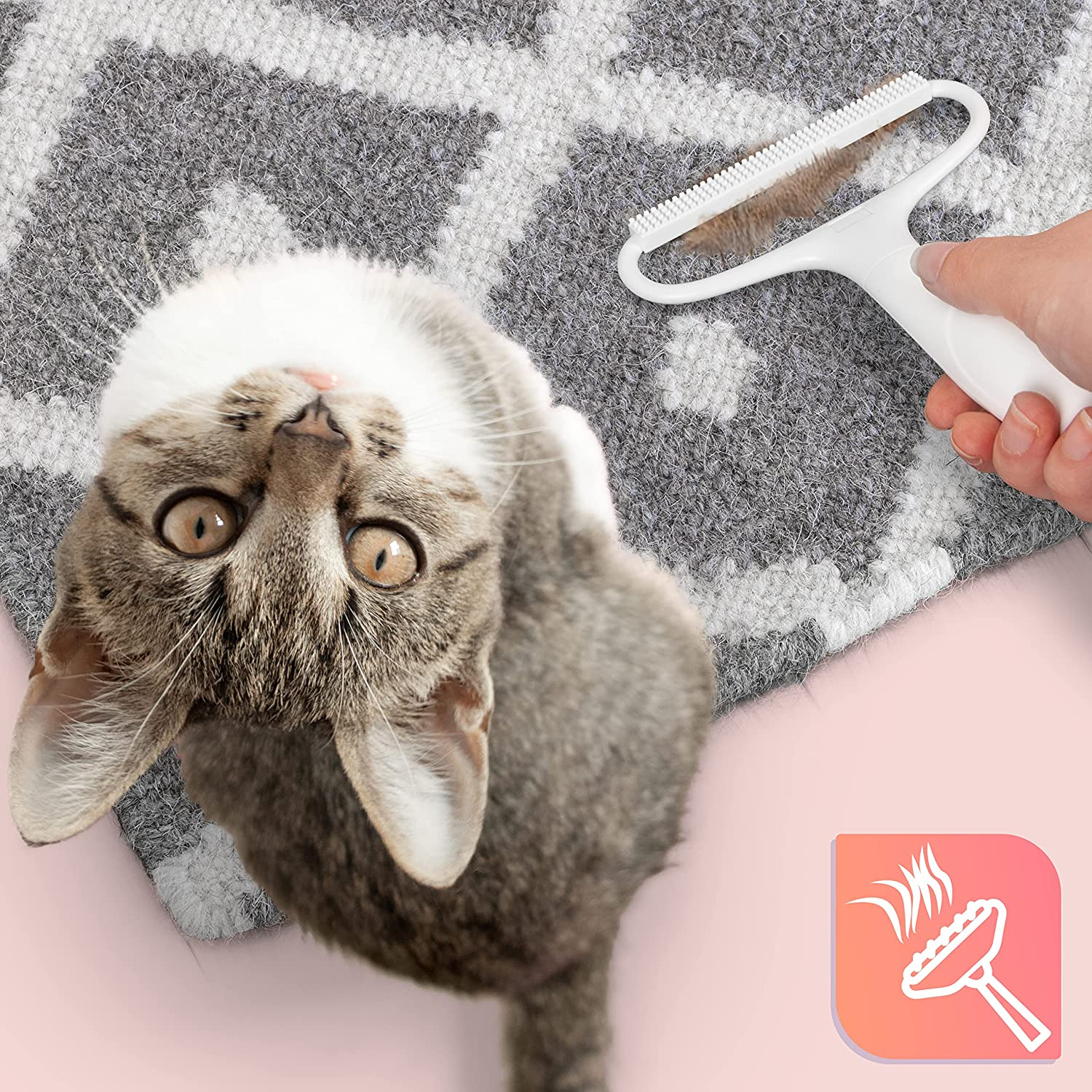 Katze blickt nach oben, während eine Hand eine Tierbürste über einem gemusterten Teppich hält. Rosa Logo unten.