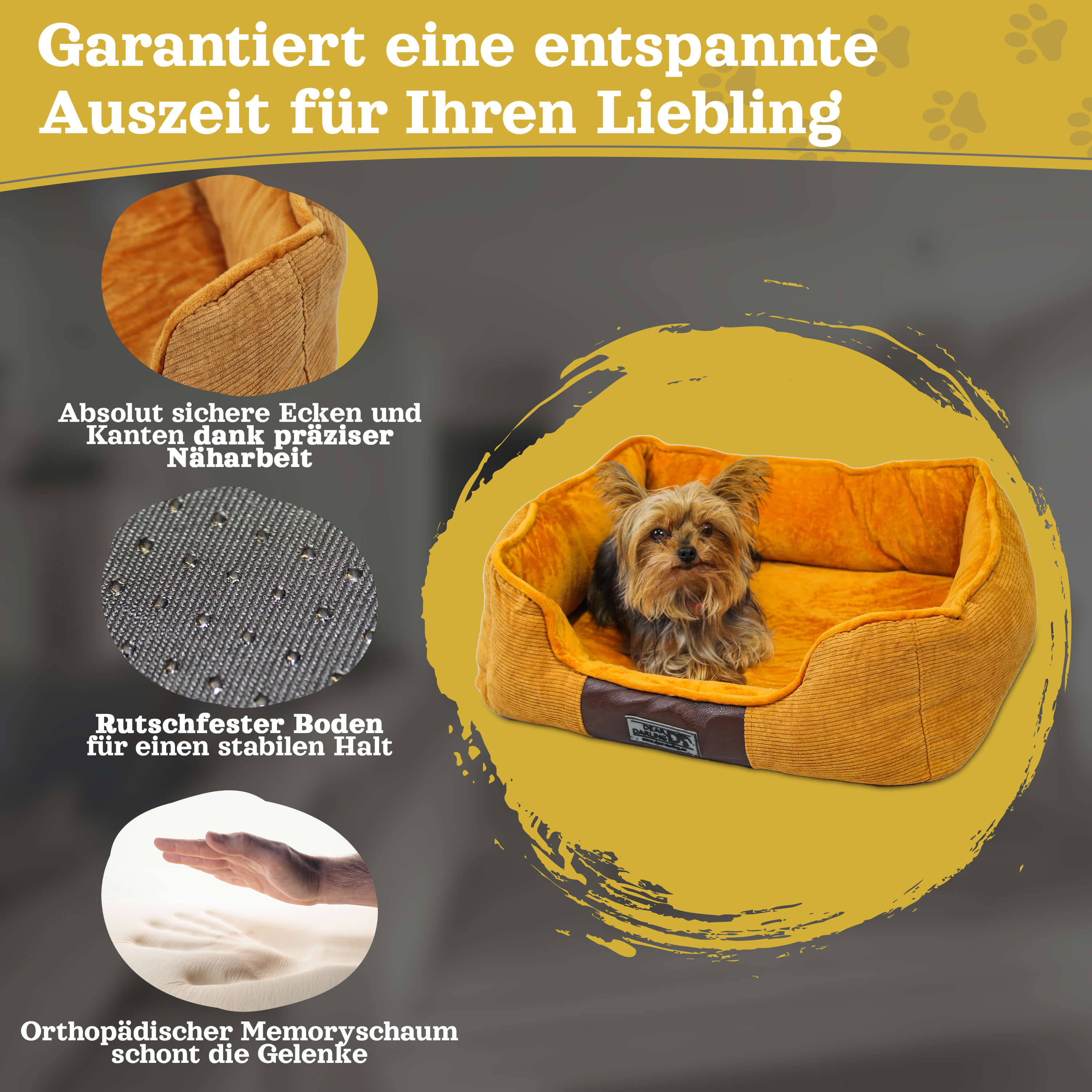 Hundebett mit kleinem Hund darin, mit Nahaufnahmen der Bettmerkmale.