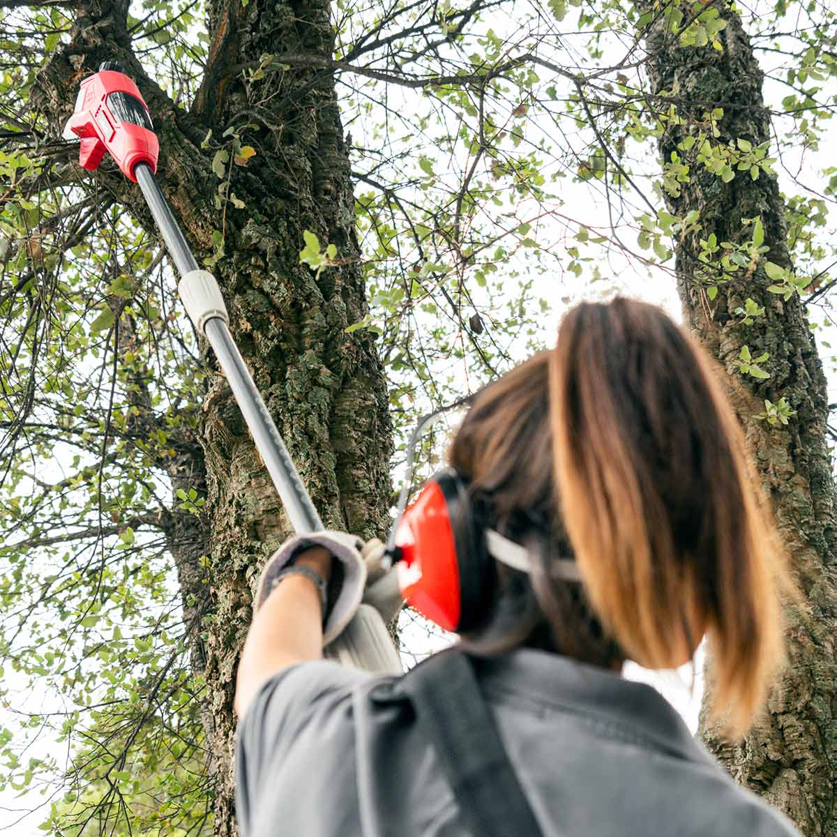 Una mujer con equipo de seguridad usa una sierra podadora roja y negra en un árbol.