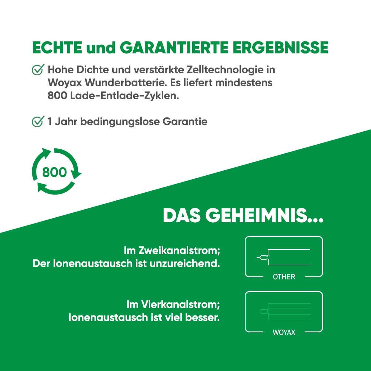 Diagramm mit Text, Grafiken über eine Batterie. Elemente: 800 Zyklen, 1 Jahr Garantie, Ionenaustausch.