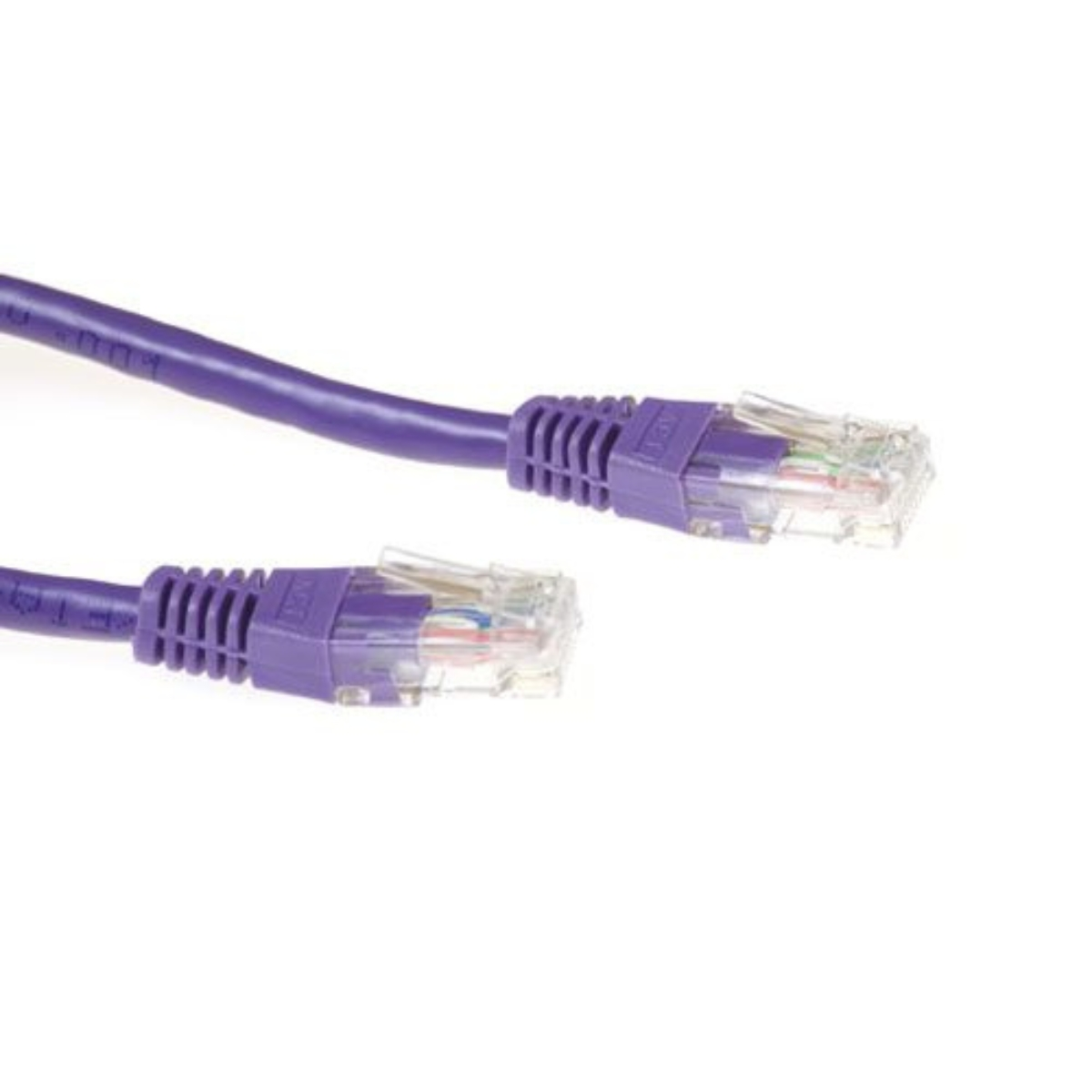 Zwei lila Ethernet-Kabel mit transparenten Steckern, isoliert auf Weiß.