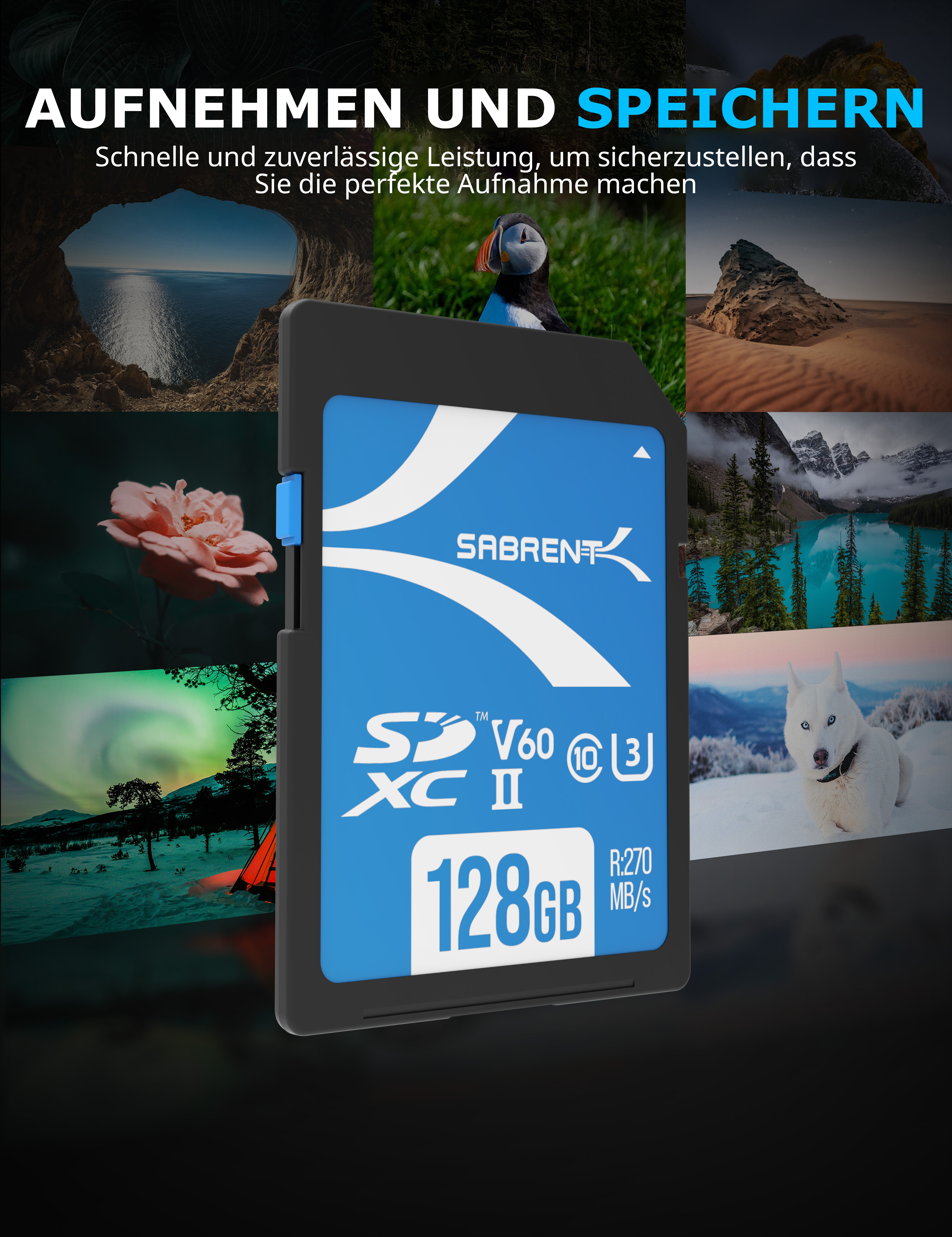 SD SABRENT V60 SDXC 270 SD GB, Karte, 128GB 128 MB/s UHS-II,