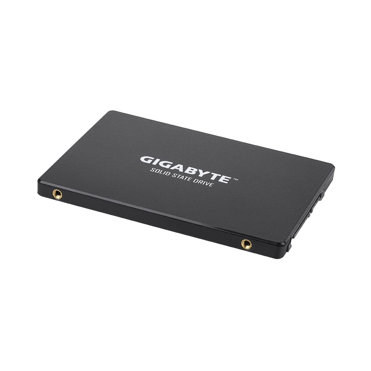 Disque SSD Gigabyte noir. L'appareil est rectangulaire et a une finition métallique.
