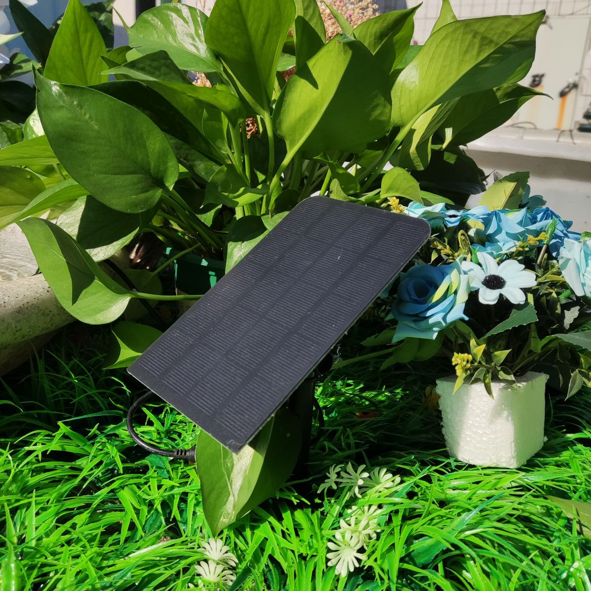 Ein kleines Solarpanel ist von Pflanzen und Blumen umgeben.