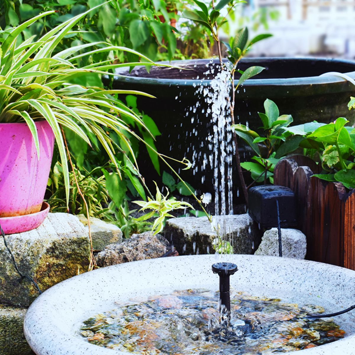 Ein Gartenbrunnen mit sprühendem Wasser. Pflanzen umgeben den Brunnen, darunter rosa und grün.
