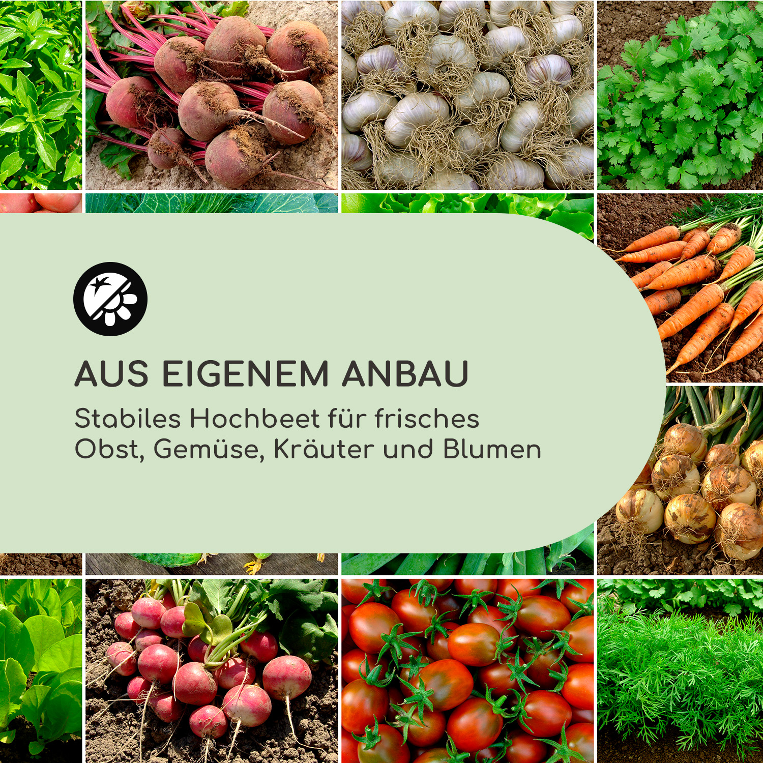 Eine Collage aus verschiedenen frischen Gemüsesorten und Kräutern, die selbst angebautes Gemüse bewirbt.