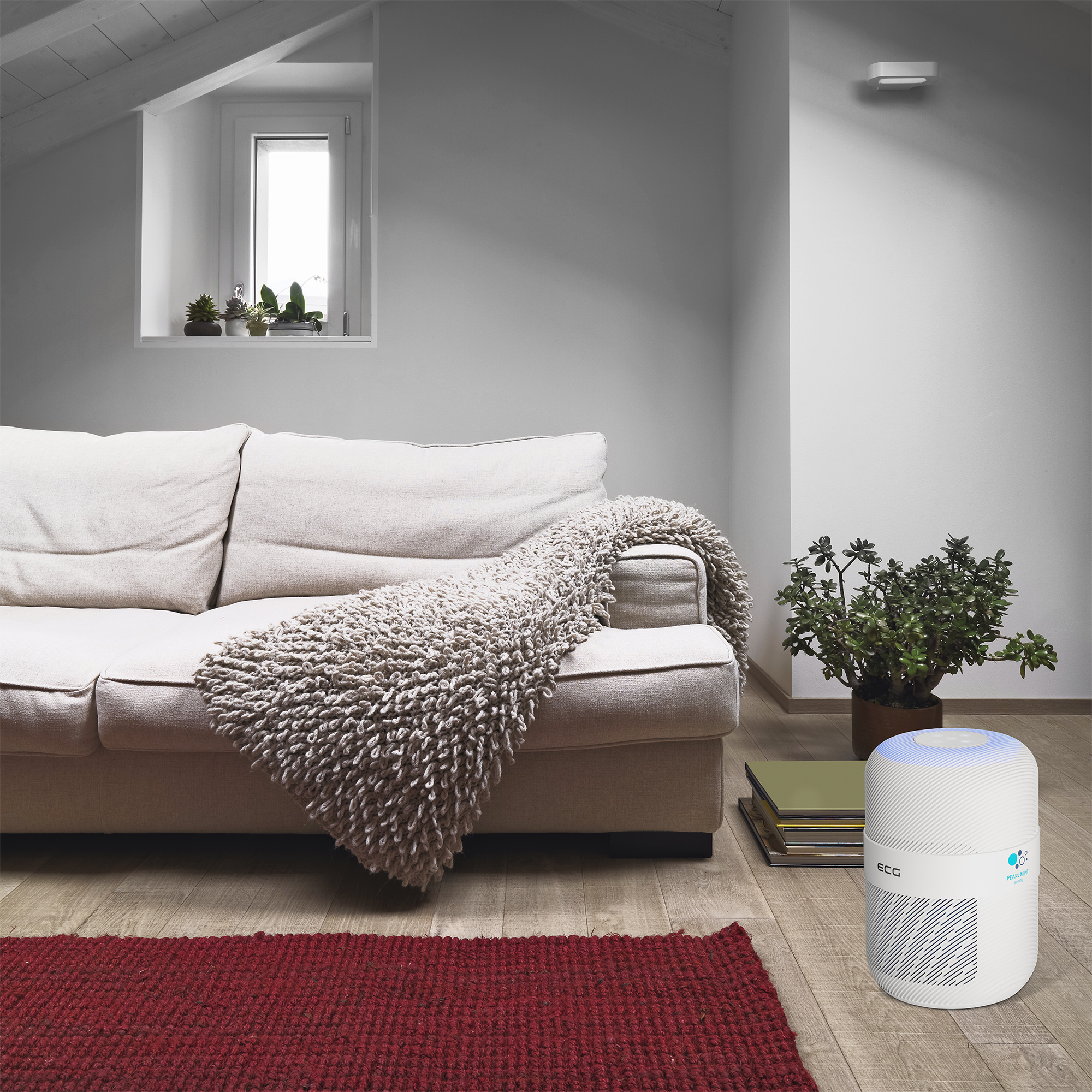 Wohnzimmer mit weißem Sofa, rotem Teppich und Luftreiniger. Es gibt ein Fenster und Pflanzen.