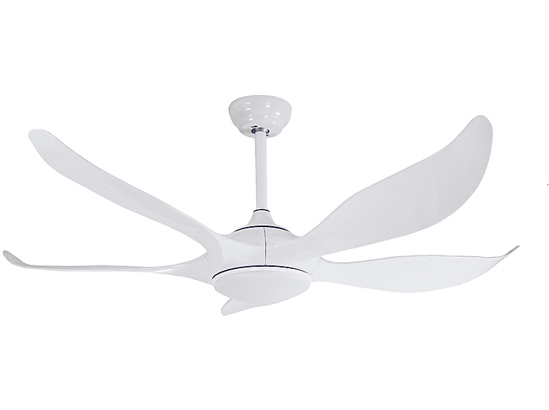 Ventilador de techo - WONDERLAMP FAN