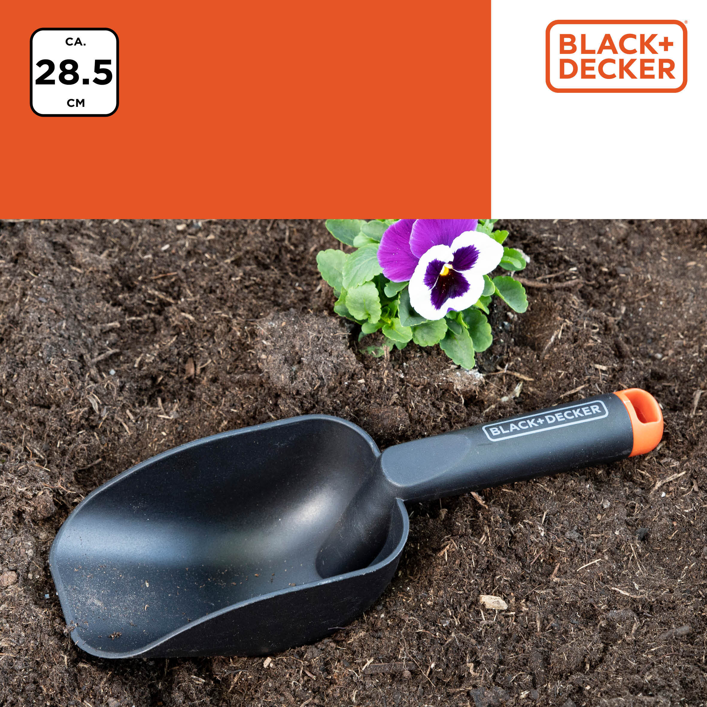 Black garden scoop in soil with a purple flower. Orange and black handle. White background.