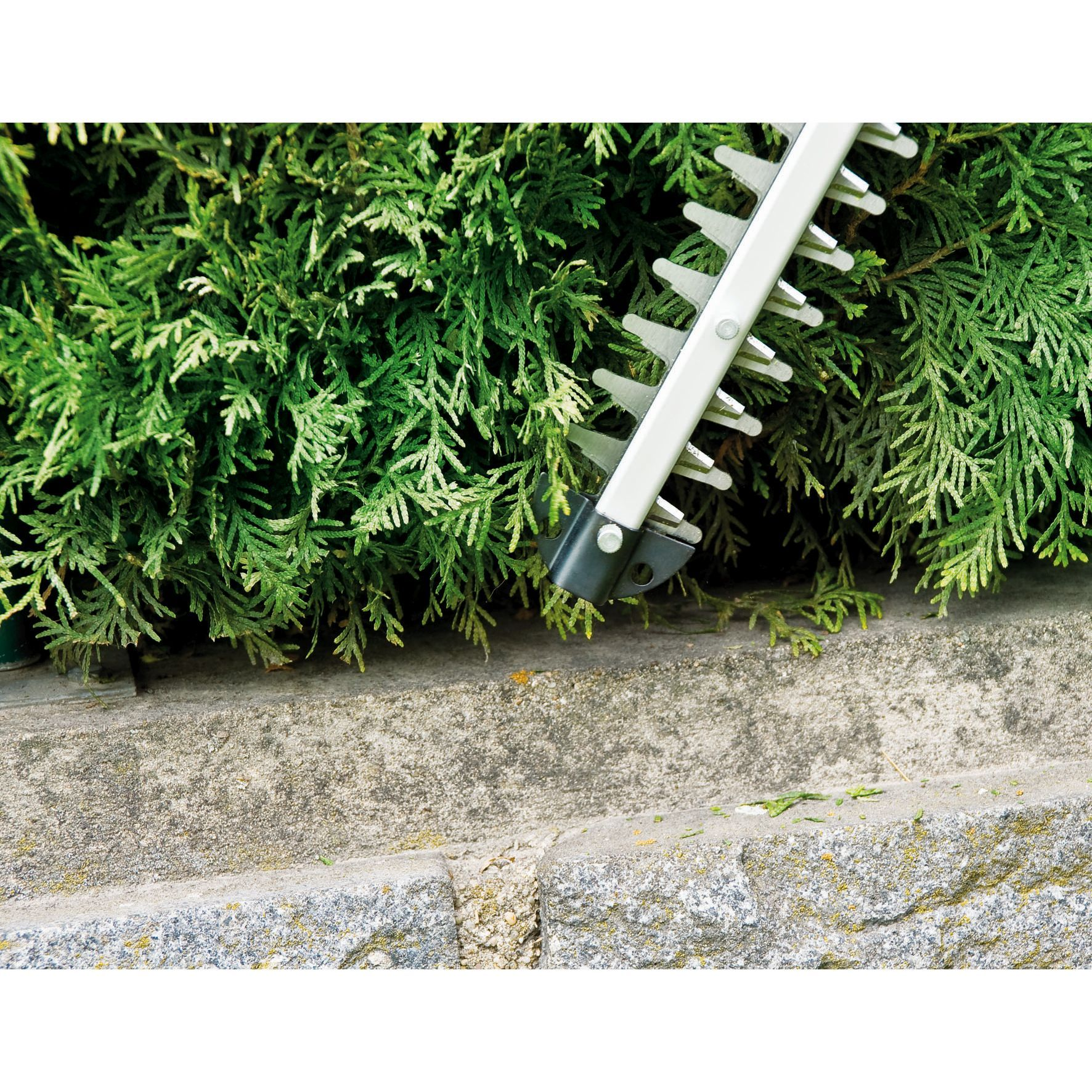 Nożyce do żywopłotu tną zielony żywopłot, opierając się na kamiennym murze.