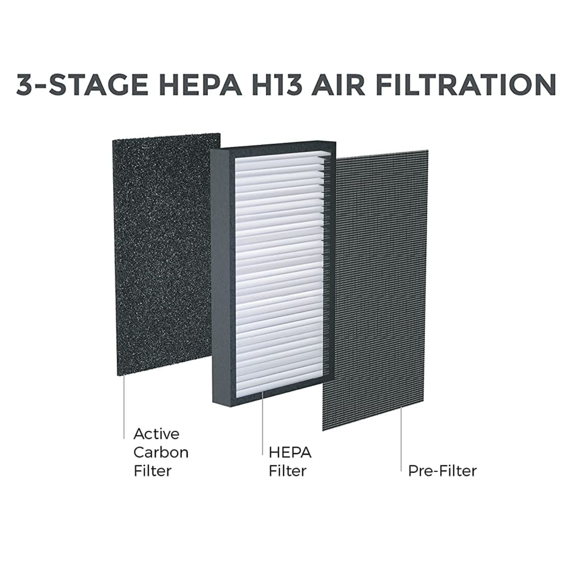 AIRVERSA Ersatzfilter H13 Luftreiniger-Filter AP2 Purelle für