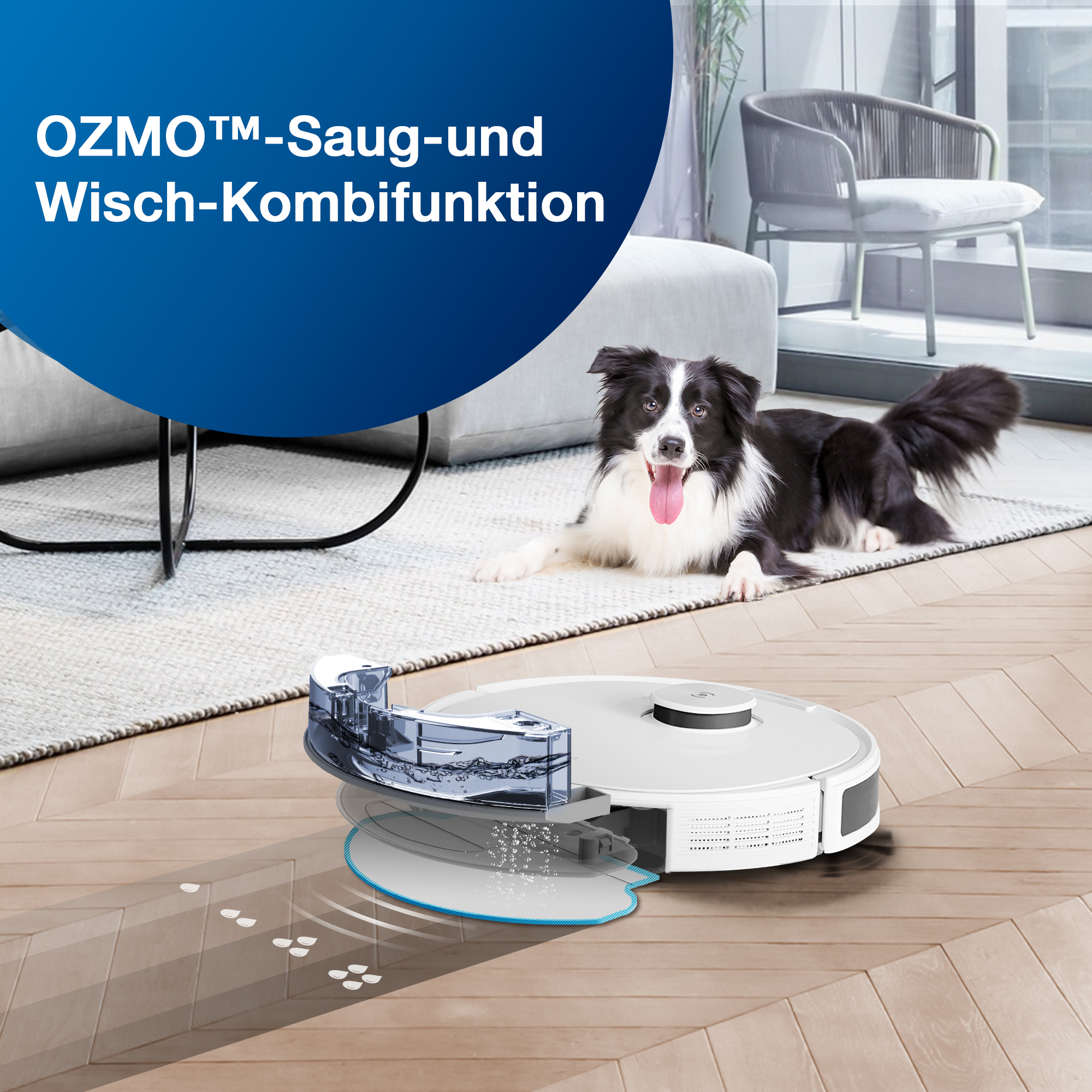Robot aspirapolvere e un cane sul pavimento in legno. Testo nell'angolo in alto a sinistra.