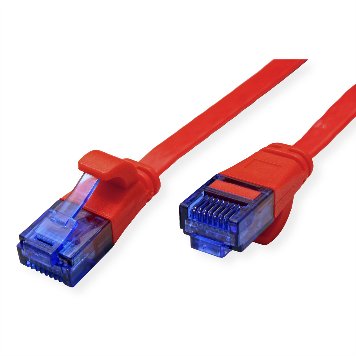 Rotes Netzwerkkabel mit blauen Steckern. Kabel ist nah vor weißem Hintergrund.