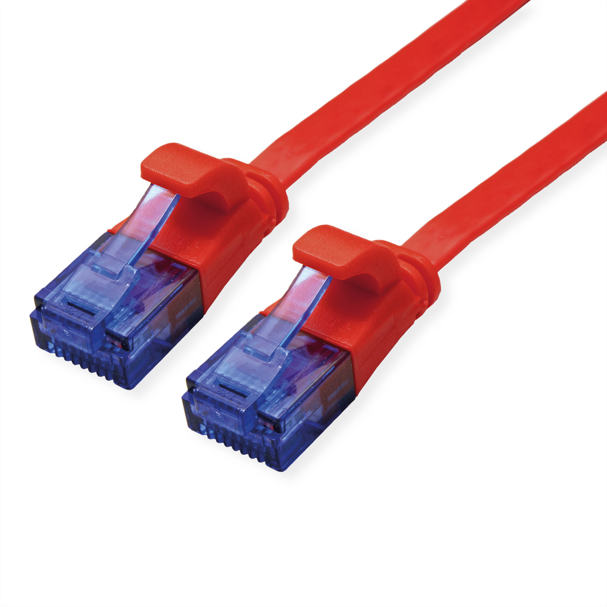 Zwei rote Ethernet-Kabel mit blauen Steckern, auf weißem Hintergrund.