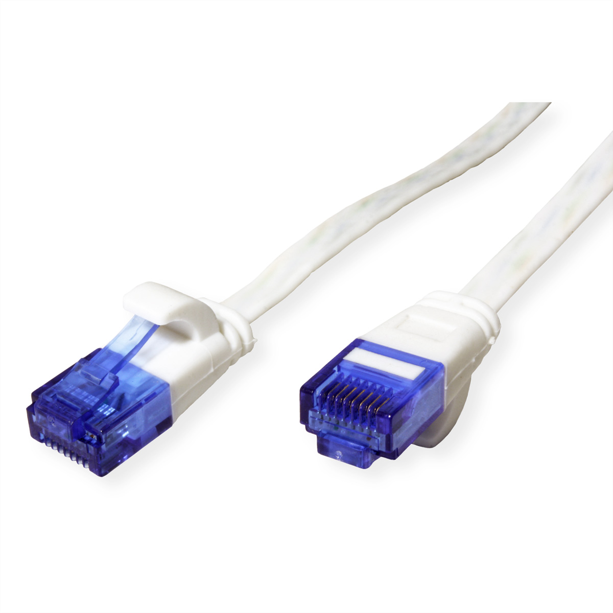 Zwei weiße Netzwerkkabel mit blauen Steckern auf weißem Hintergrund.