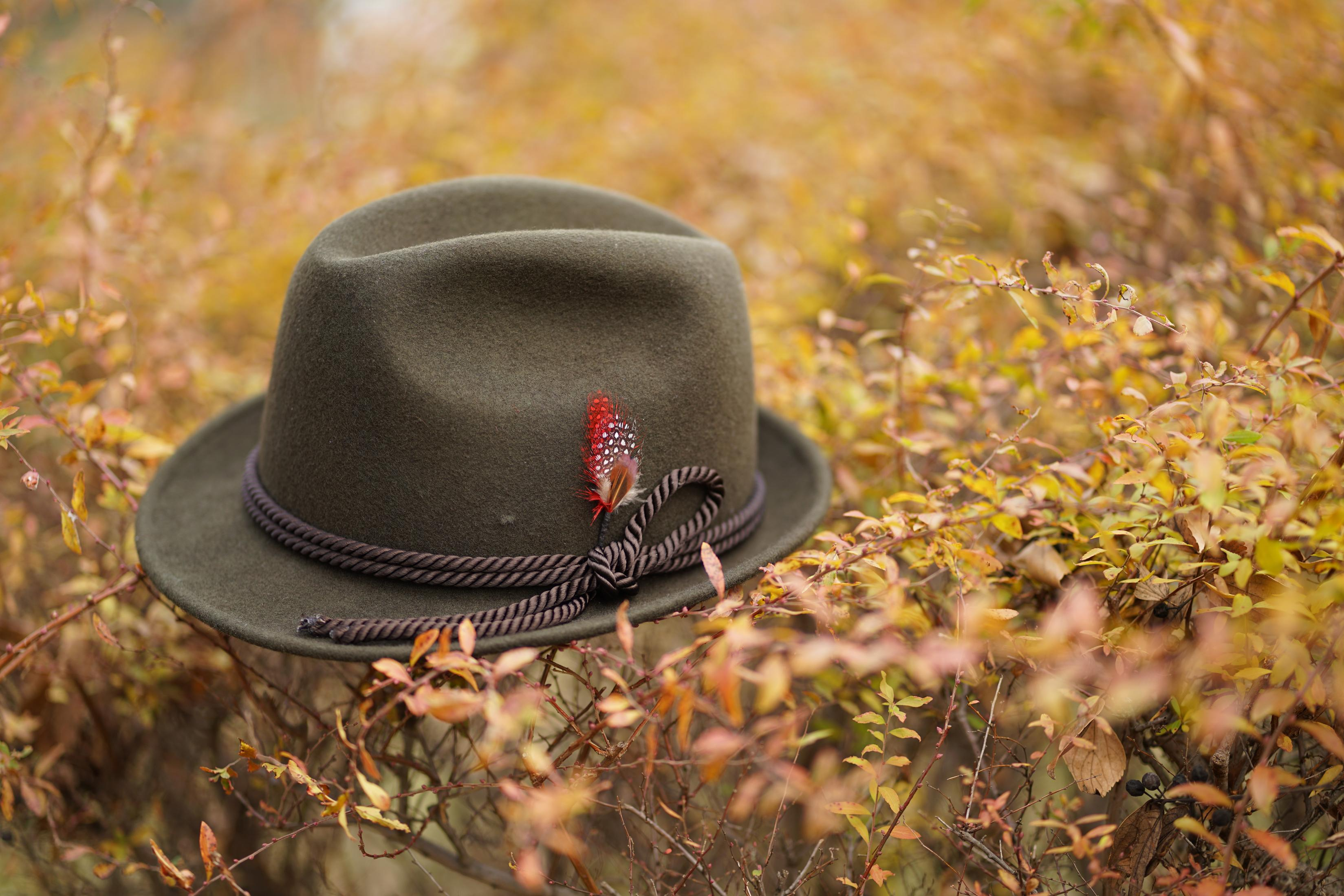 Un sombrero verde con una pluma, sentado en arbustos marrones con hojas amarillas.