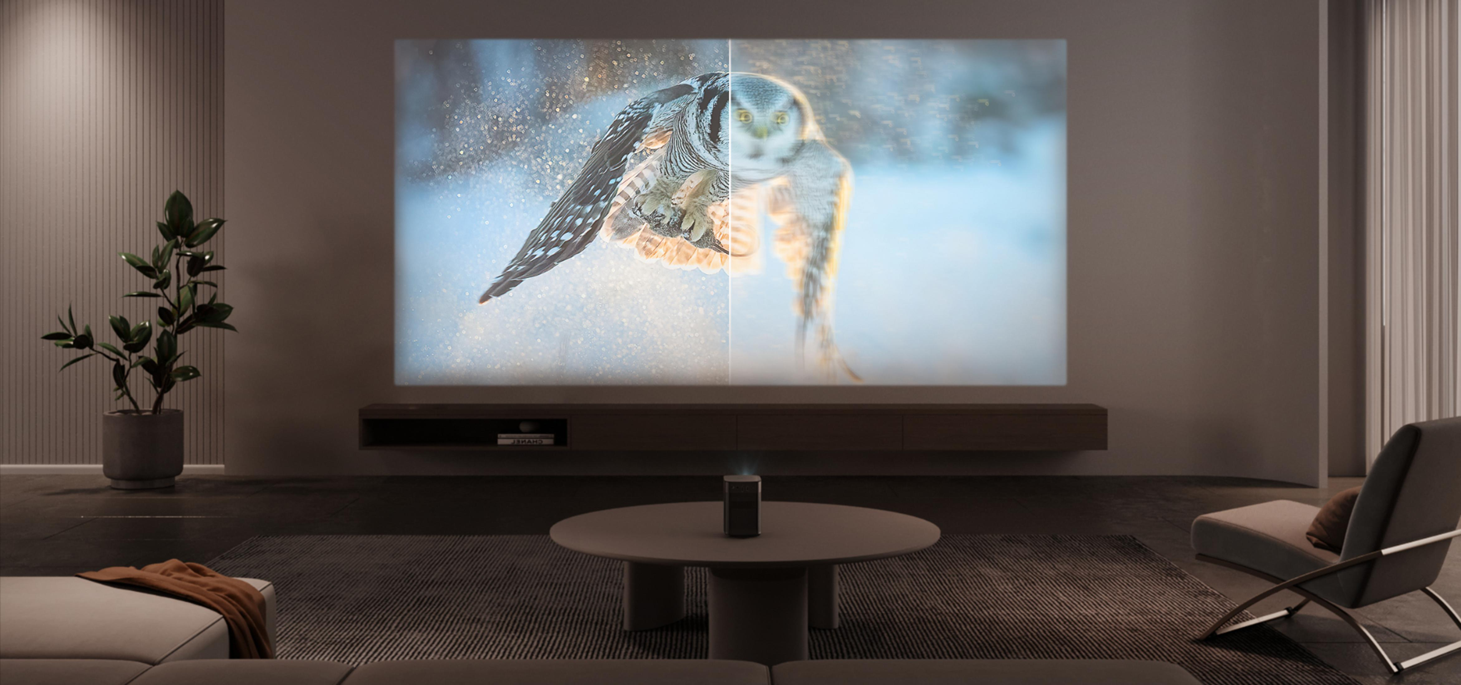 Living room with a projector screen displaying an owl in flight. A modern interior with a sofa and a plant.