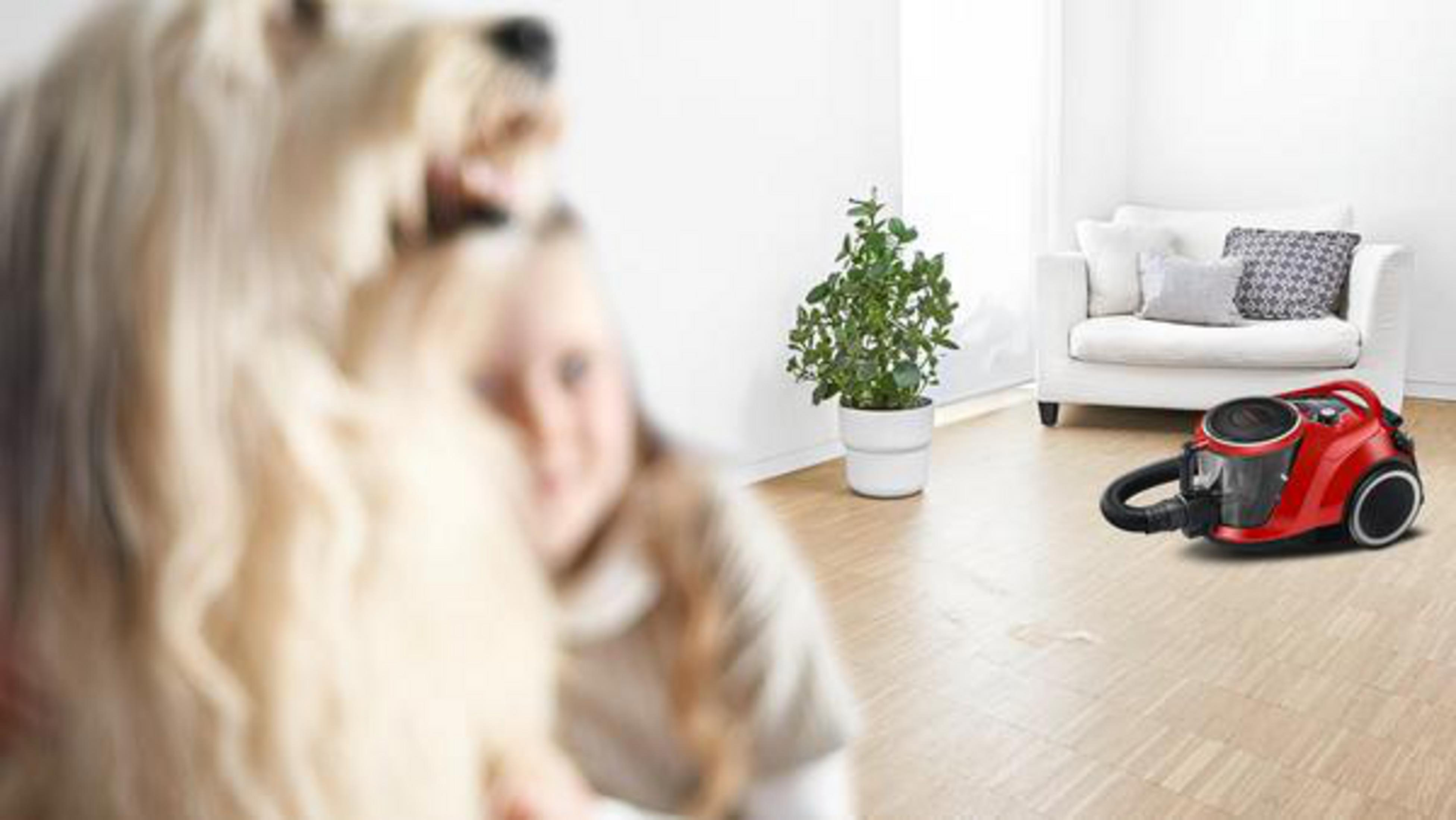 Dziewczyna trzymająca psa, odkurzacz w tle, roślina i biała sofa.