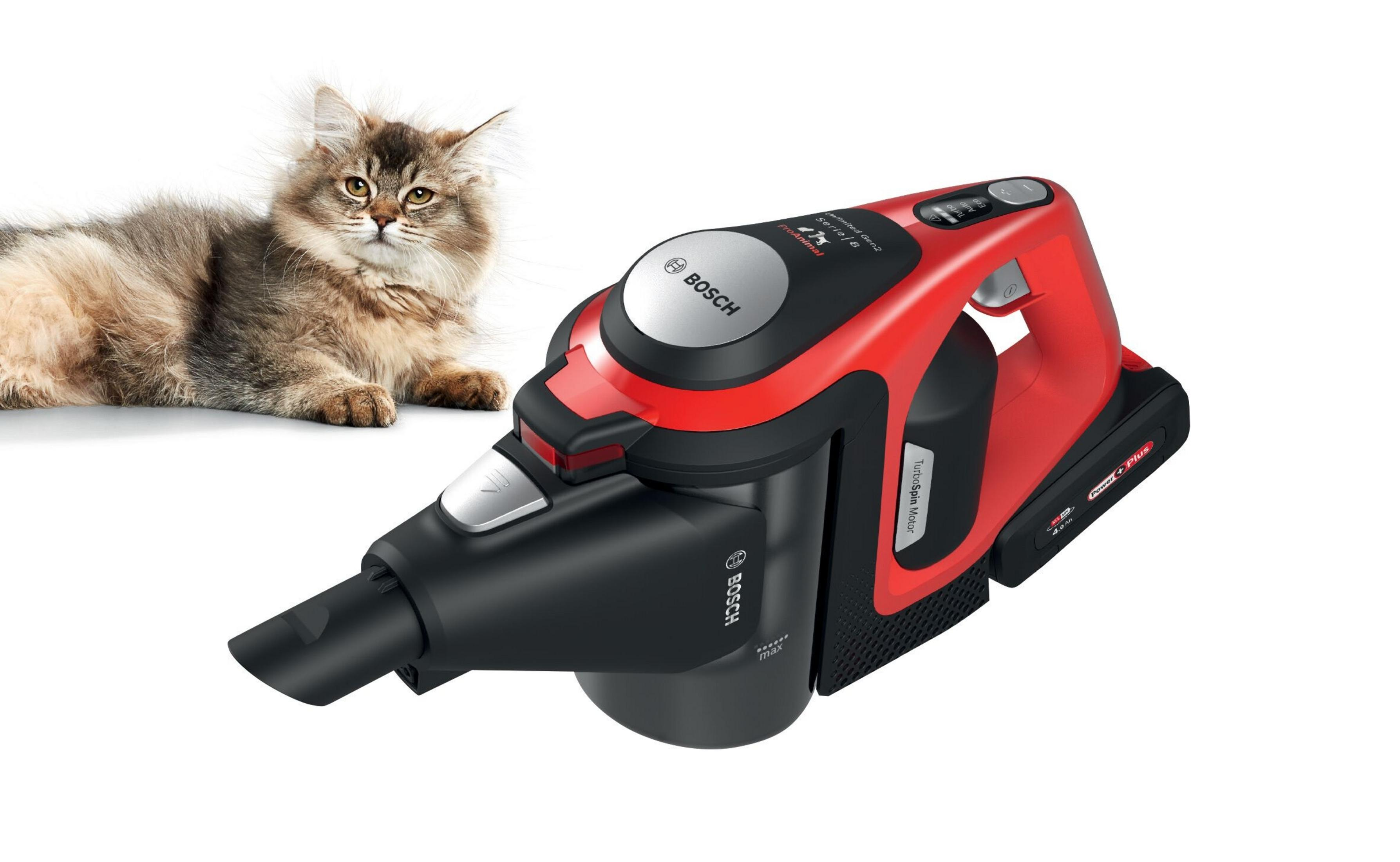 Ein roter und schwarzer Bosch-Handstaubsauger neben einer Katze. Die Katze ist grau-braun mit langem Fell.