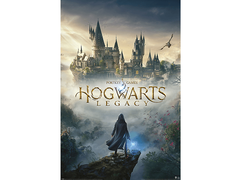 Legacy Potter Harry Hogwarts -