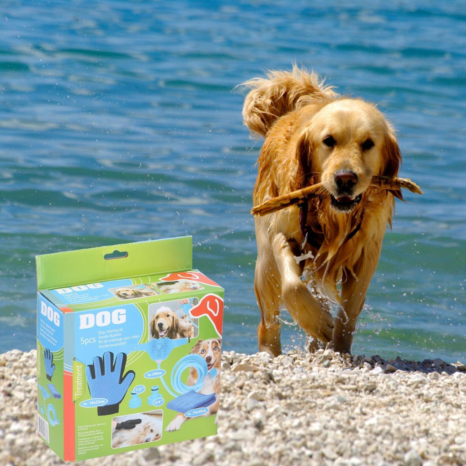 Golden Retriever Hund rennt am Strand, Box mit Hunde-Pflegezubehör im Vordergrund.